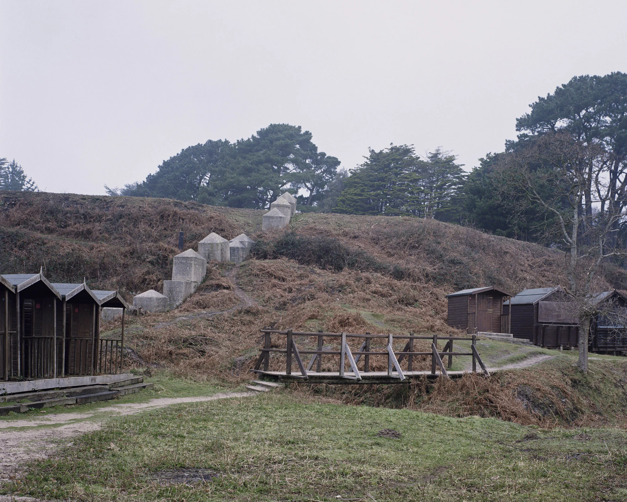 008_Studland Bay III, Dorset, England. 2011.jpg