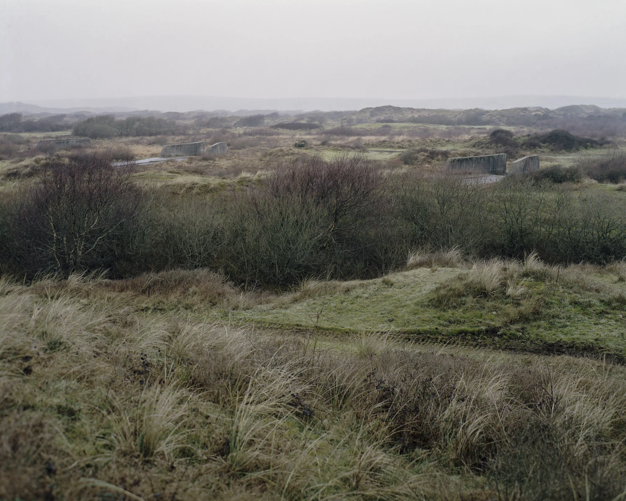 023_Braunton Burrows I, Devon, England. 2012.jpg