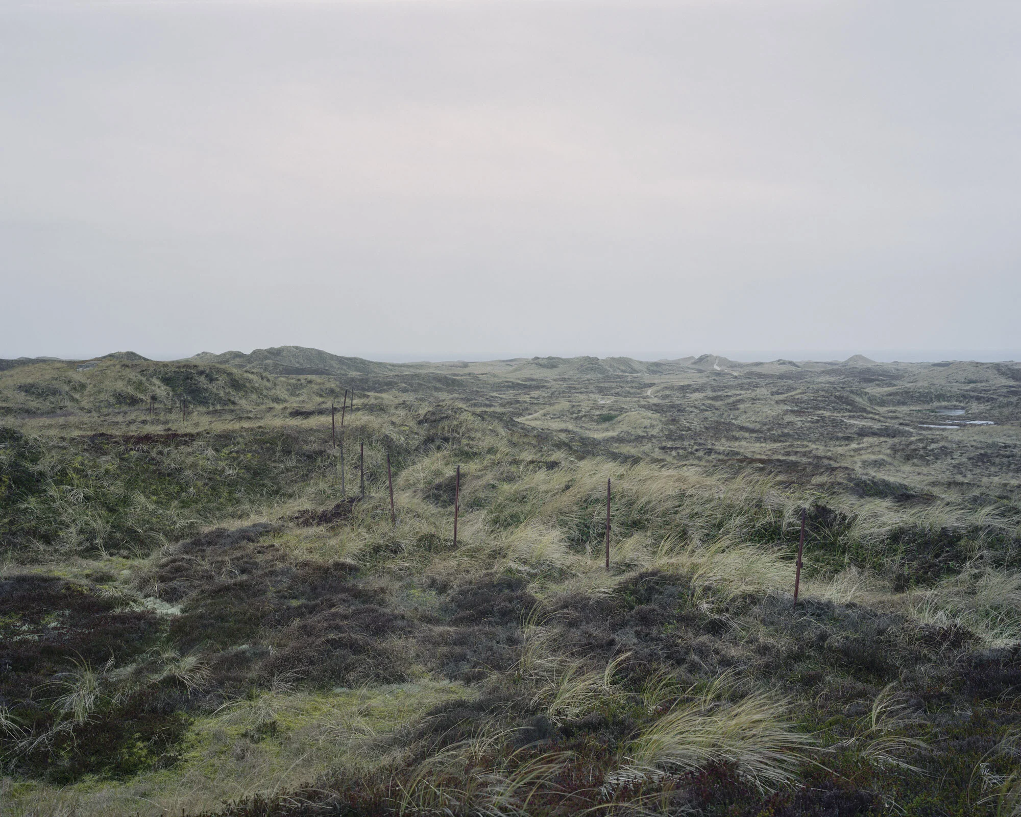 047_Vorupor II, Nordjylland, Denmark, 2014.jpg