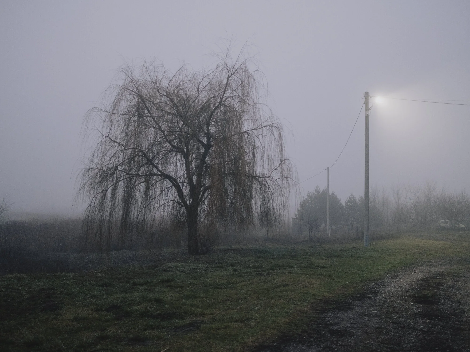 DSCF2165.jpg