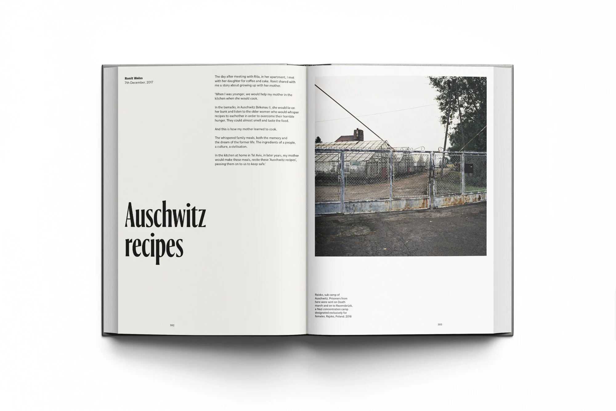 MWI_Wondland_Mockups_Kickstarter_Recipes.jpg