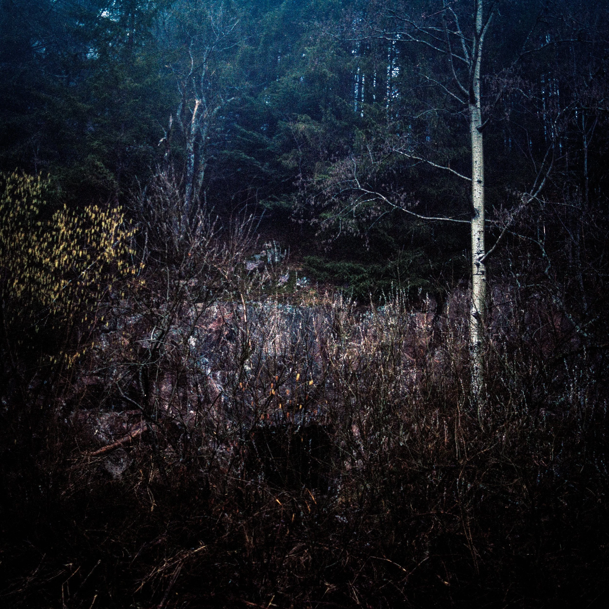France – Alsace, April 2016