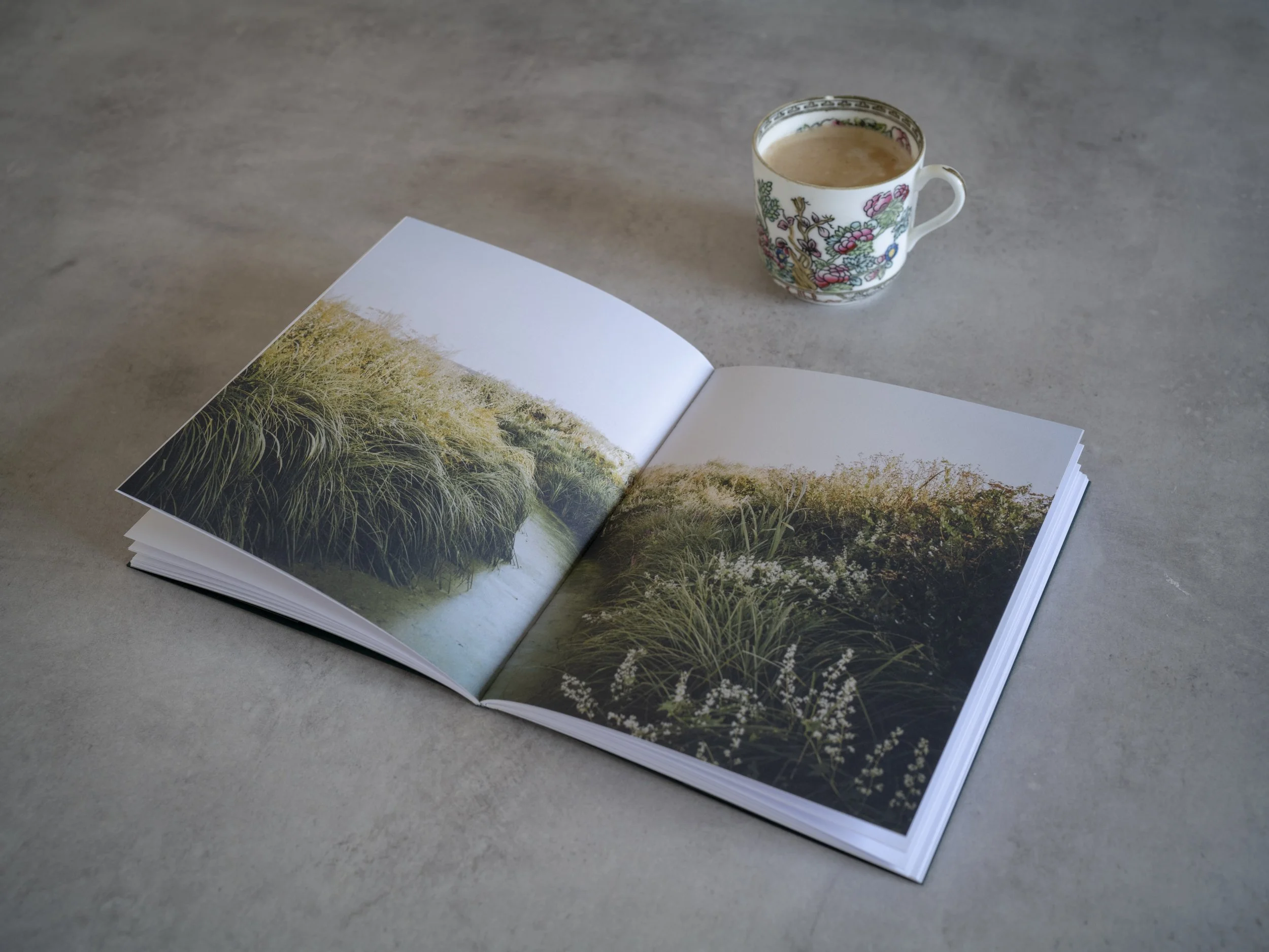 Exhibtions in Brussels, Book Fairs in London and at last...the new book.
