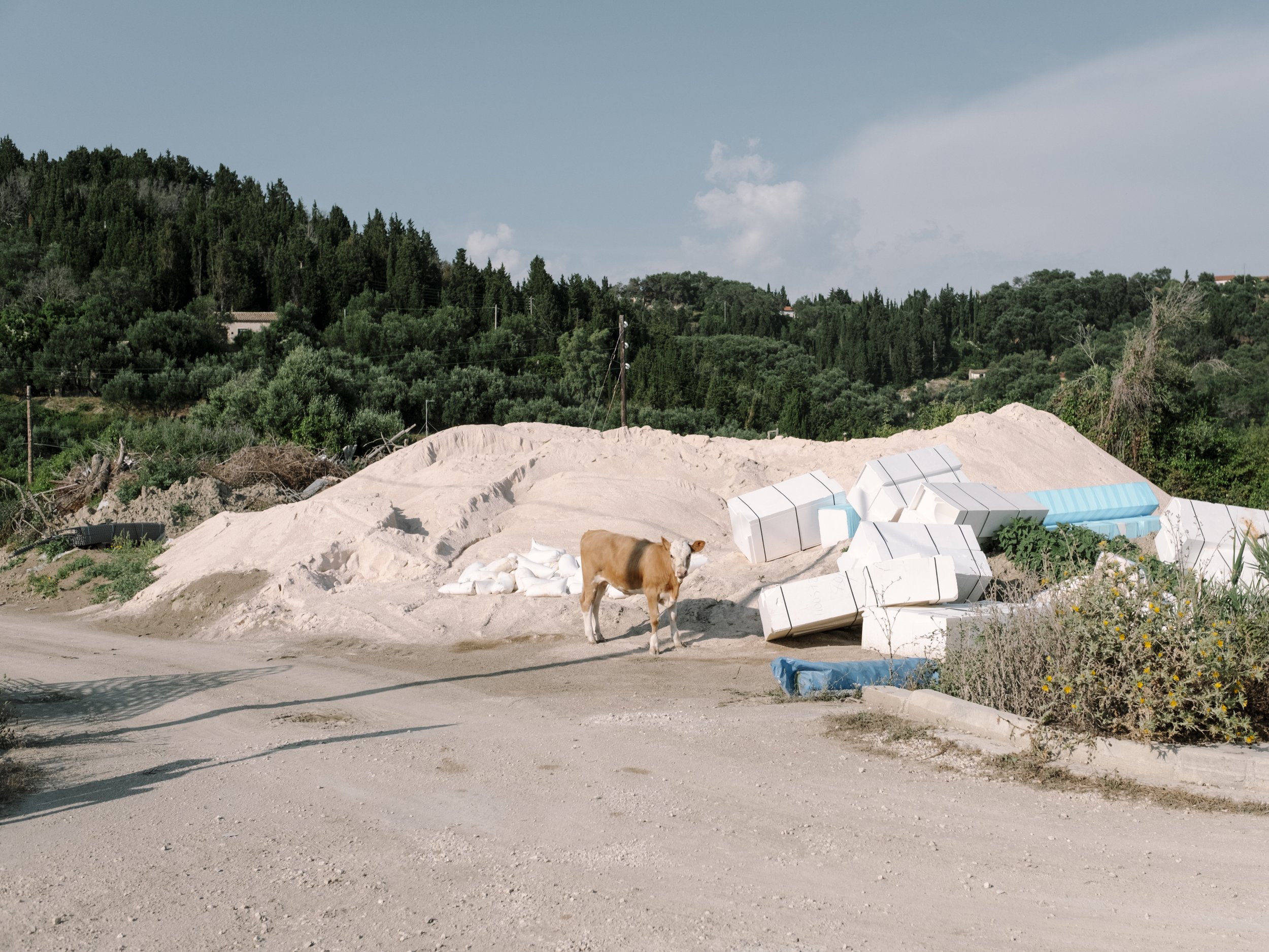 On the road 006.jpg