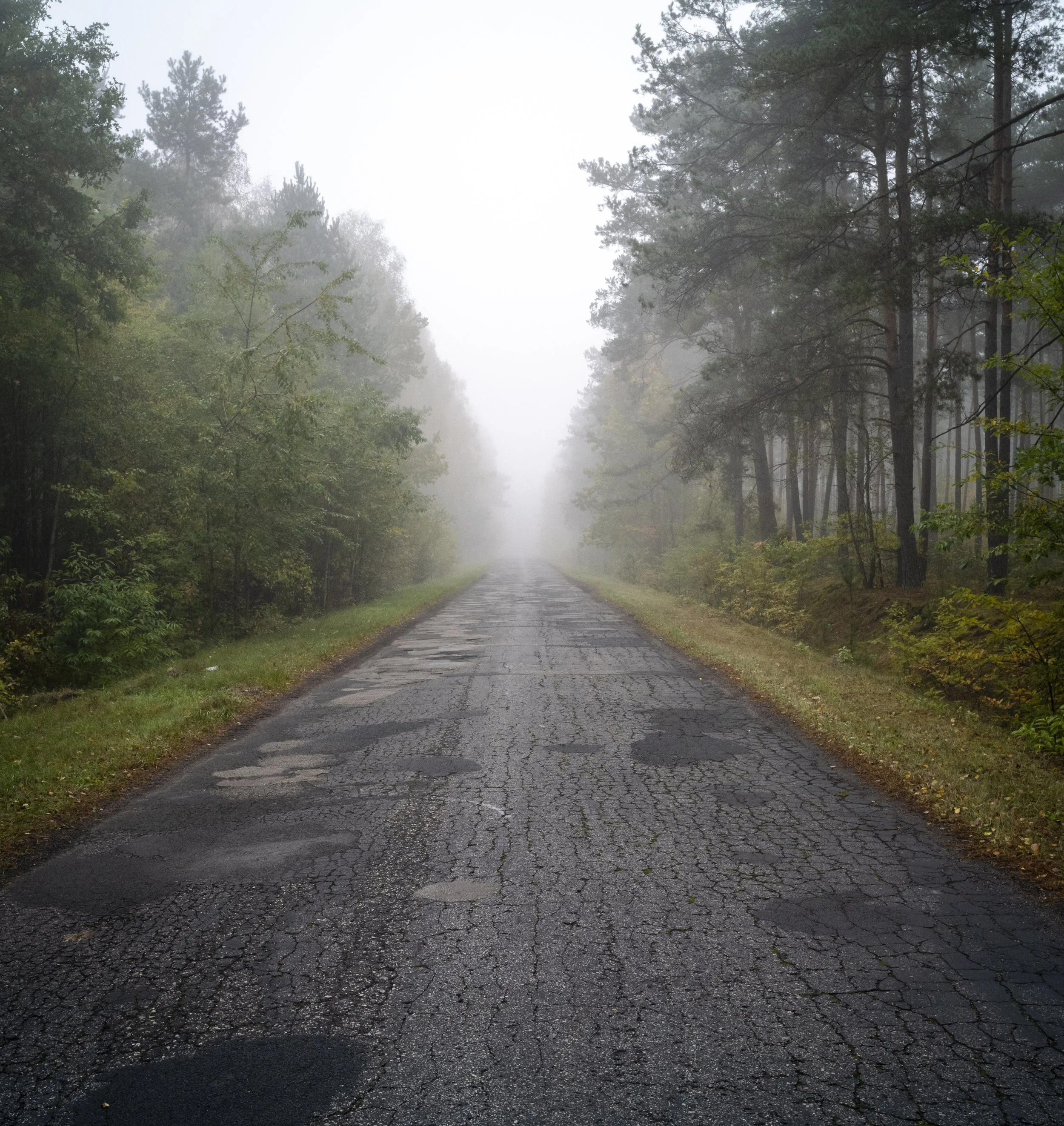 On the road 030.jpg