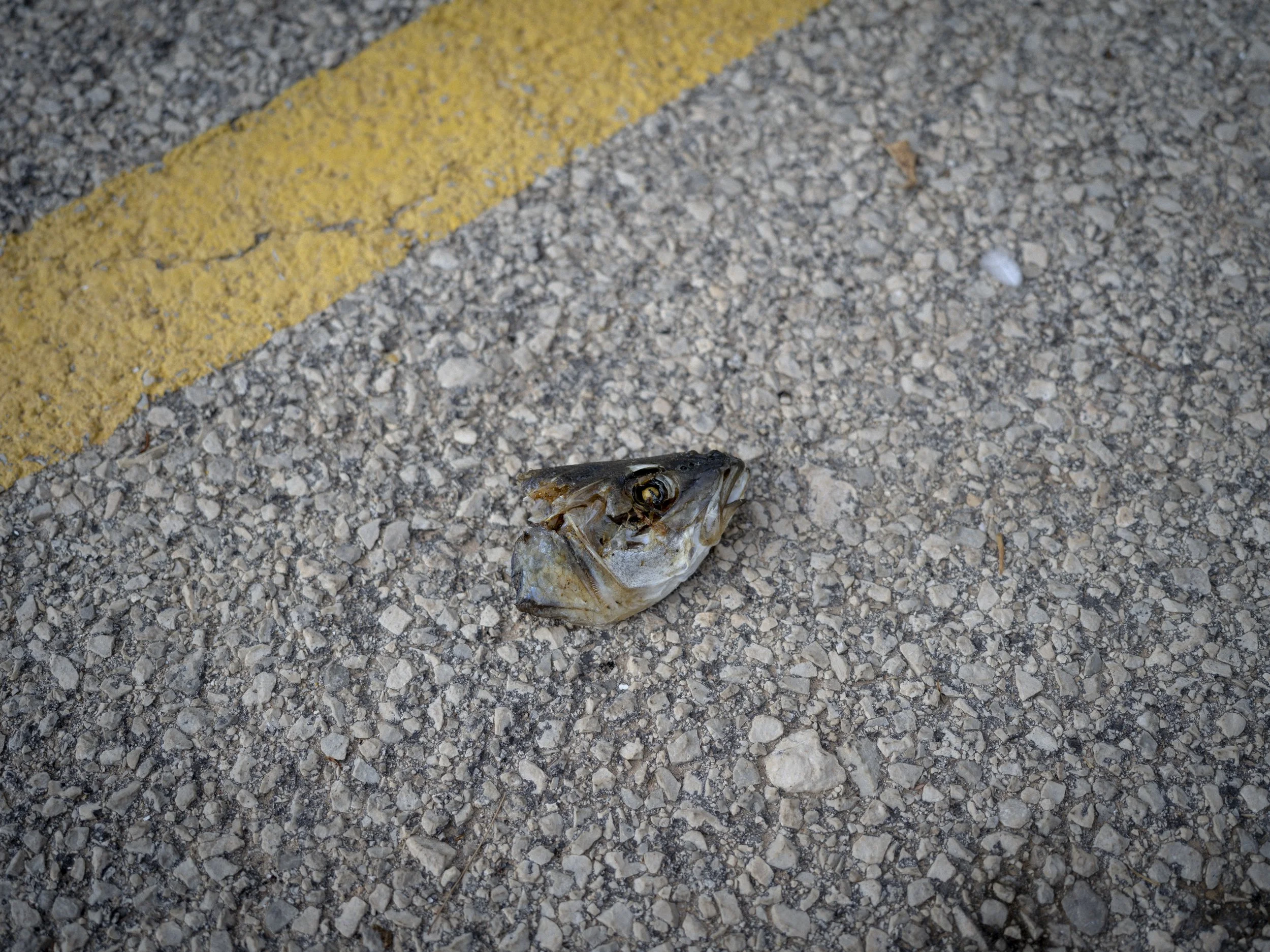 On the road 028.jpg