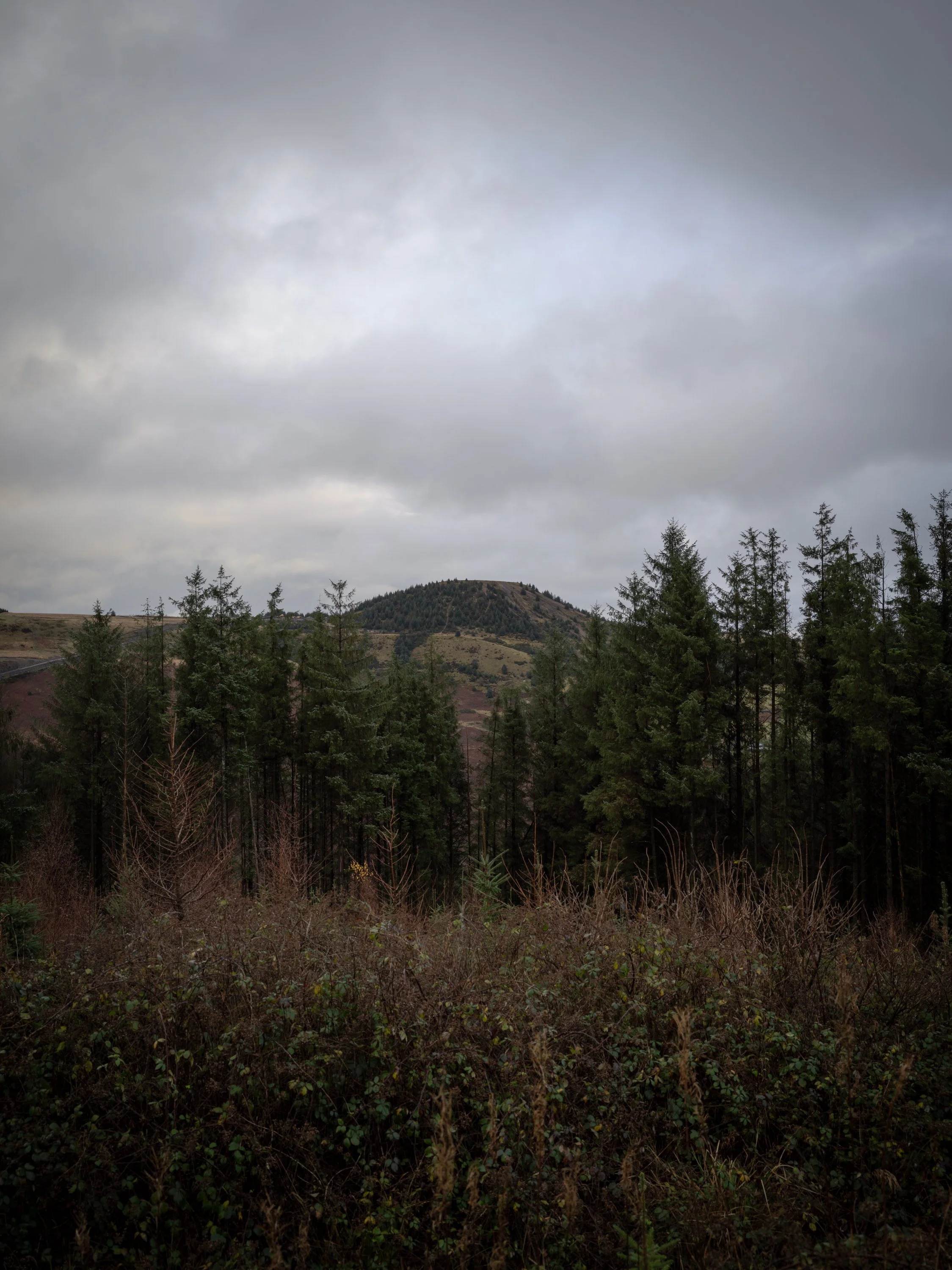 016_Tylorstown Rhondda Cynon Taf 002.jpg