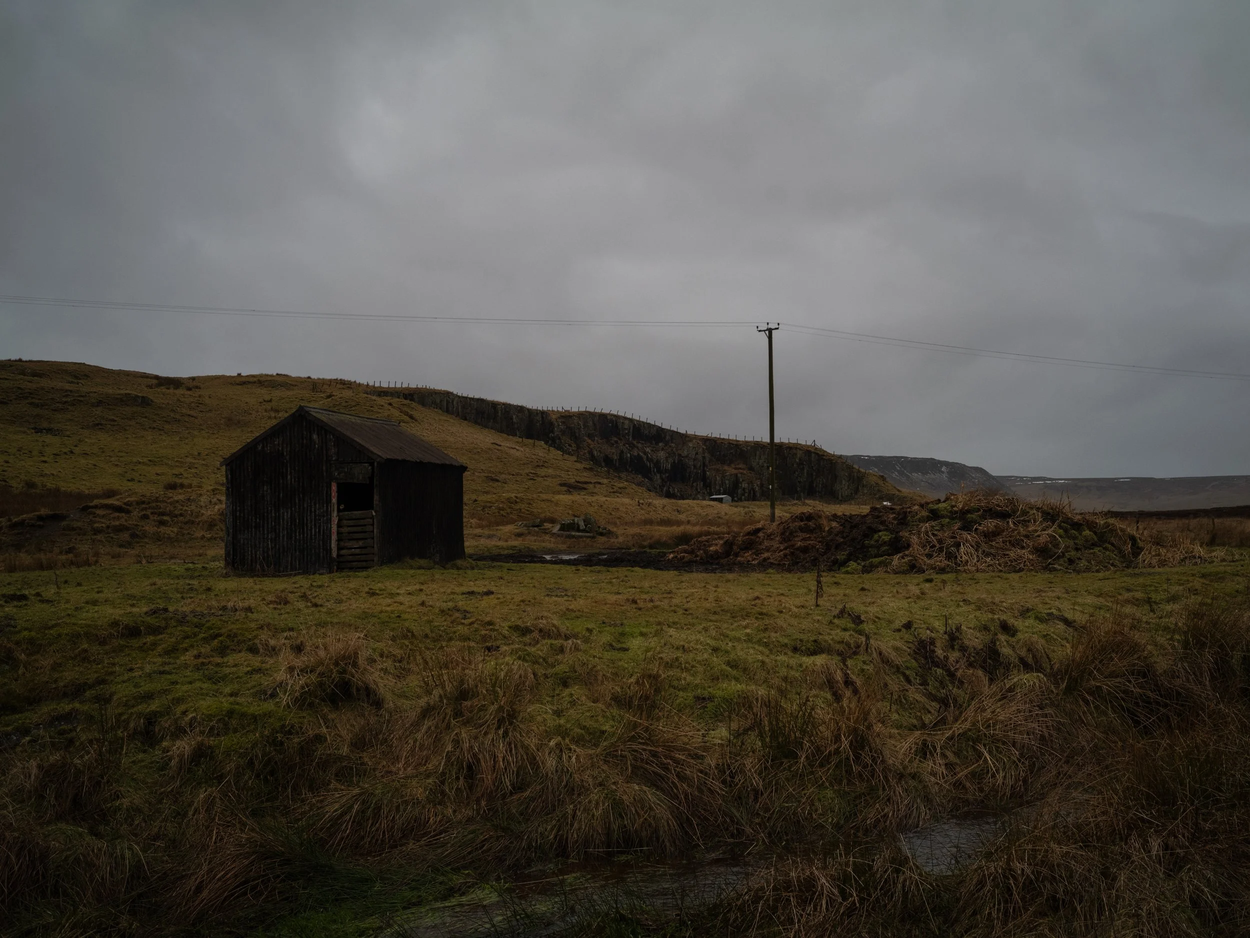051_Forest-in-Teesdale Durham 002.jpg