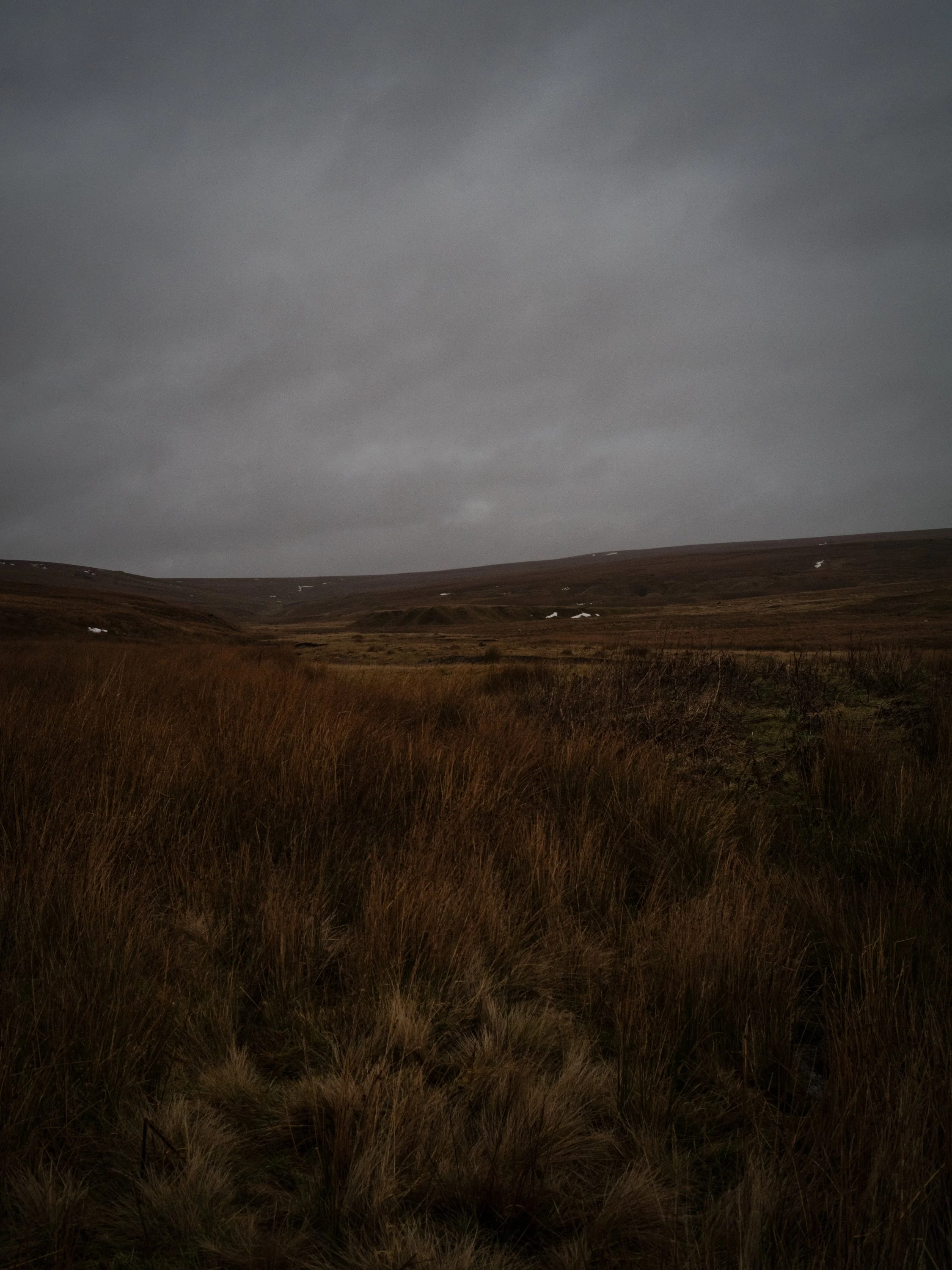038_Langdon Fell Durham 004.jpg