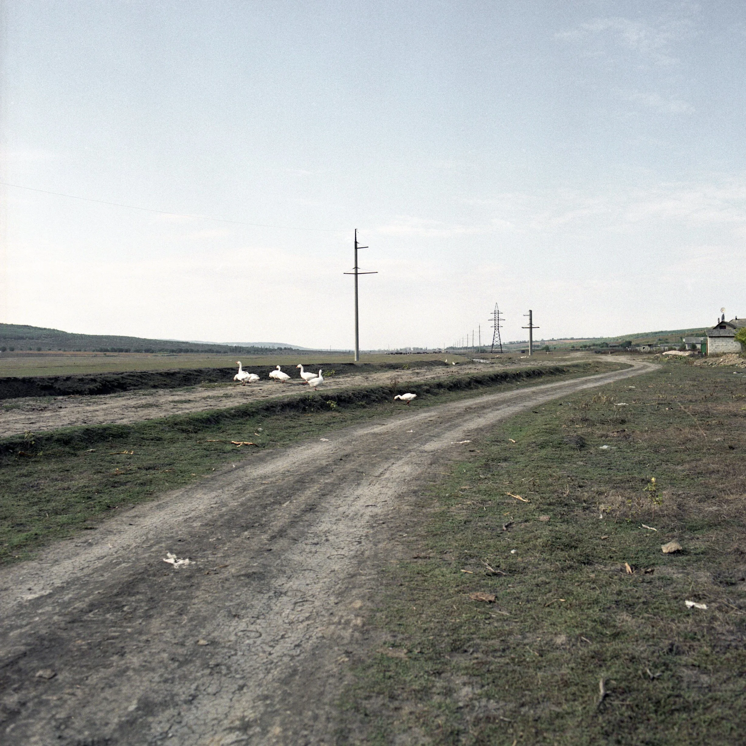 On the road 003.jpg