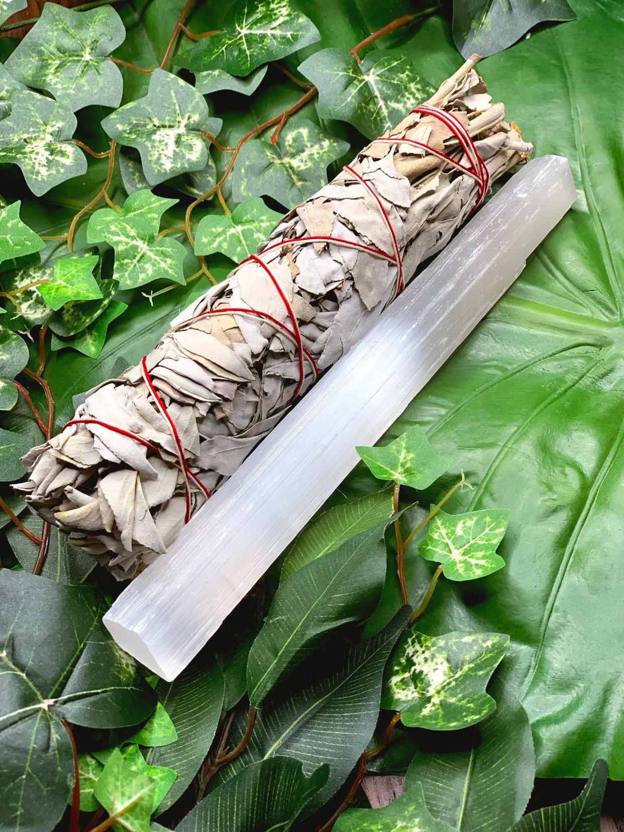 7E33A70F-8967-4E17-A8B5-A72A88104FEA