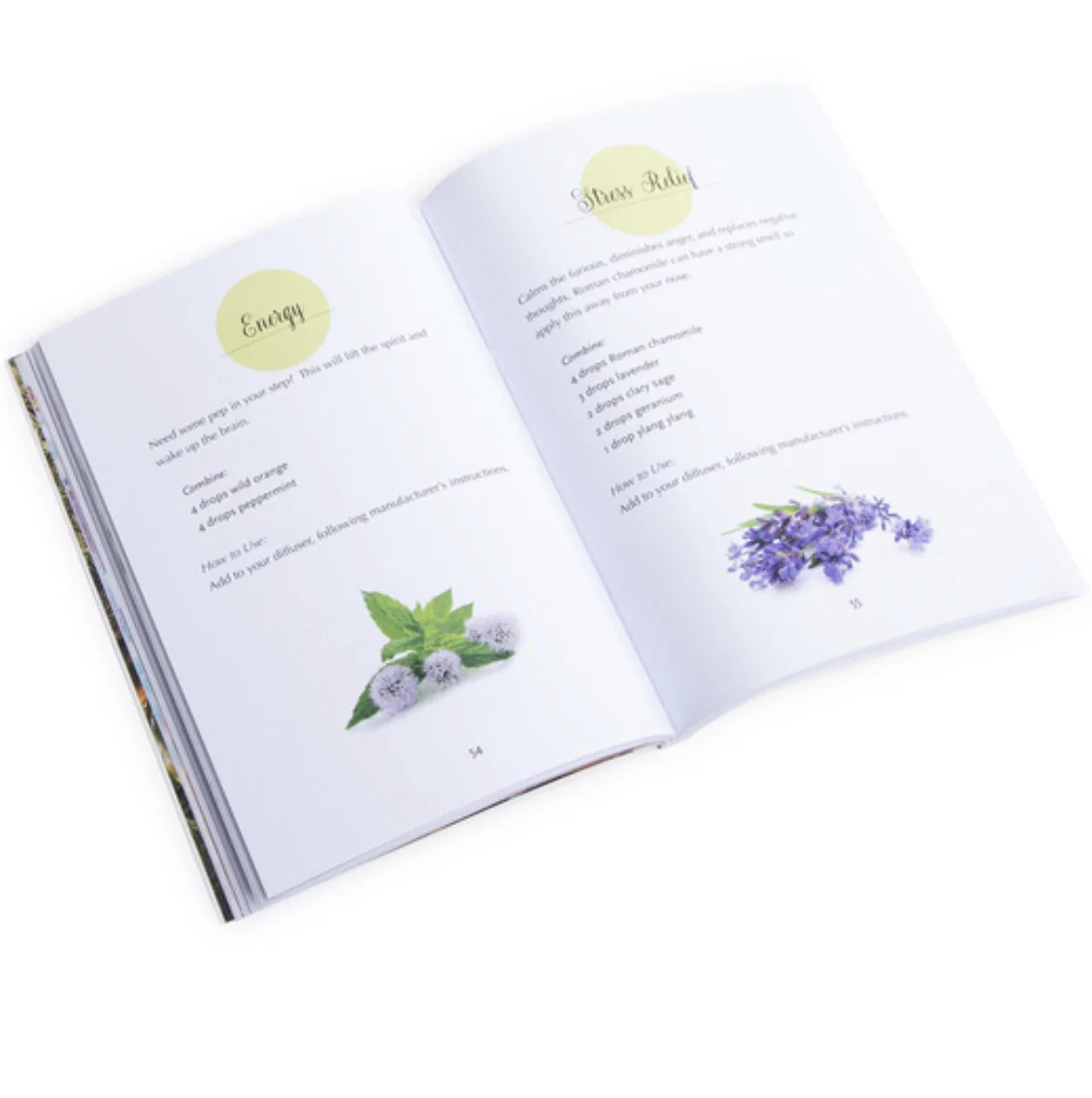 1F275891-C59E-4AD5-B042-723A10ED9392