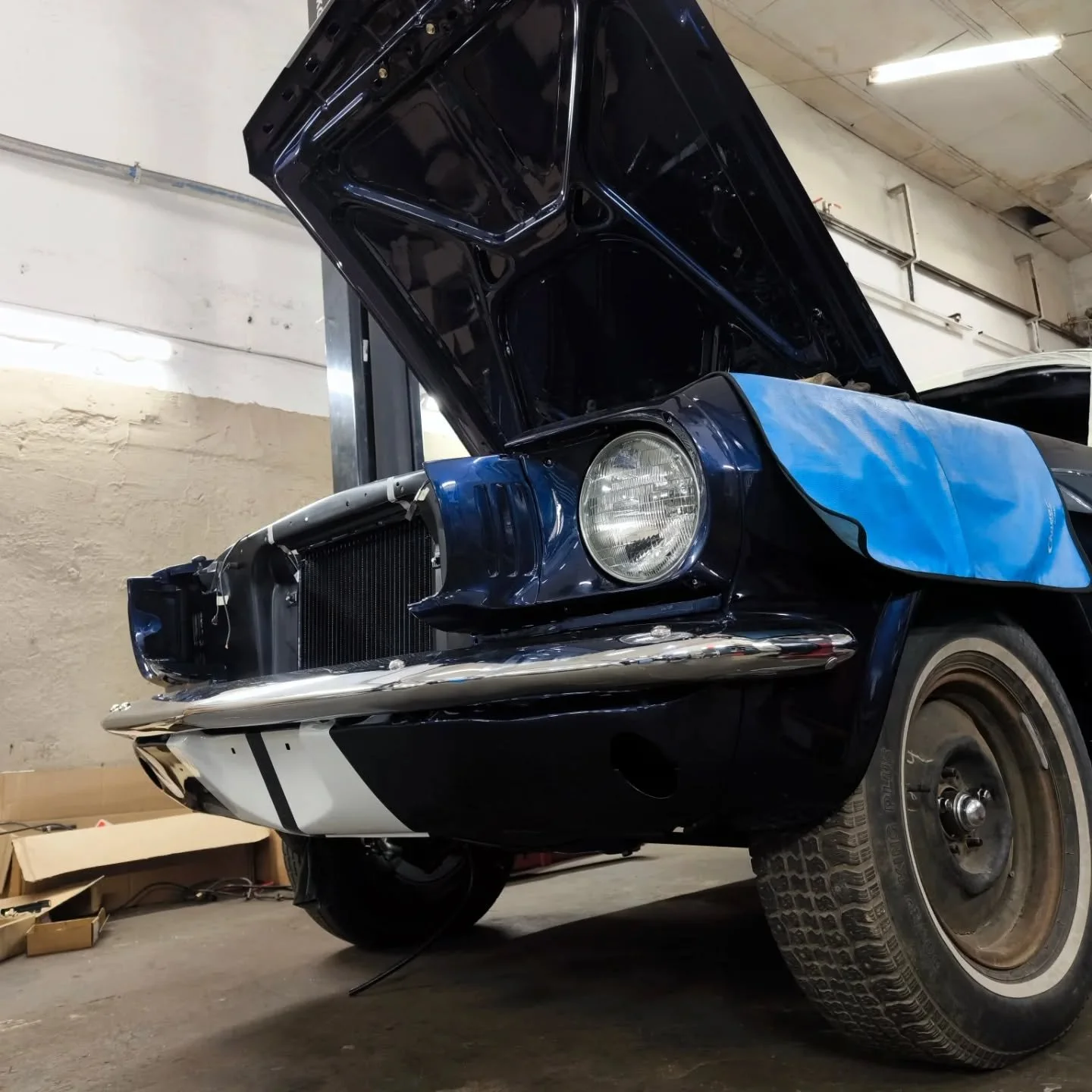 Assembly of Mustang fastback 
#mustang #mustang66 #mustangfastback #fordmustang #americanmuscle #ponycar #fastback #newbody #brandnew #brandnewbody #newmustang #quality #suspension #brakekit #carrestoration #restoration  #godlikeinc