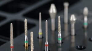 Burs.jpg