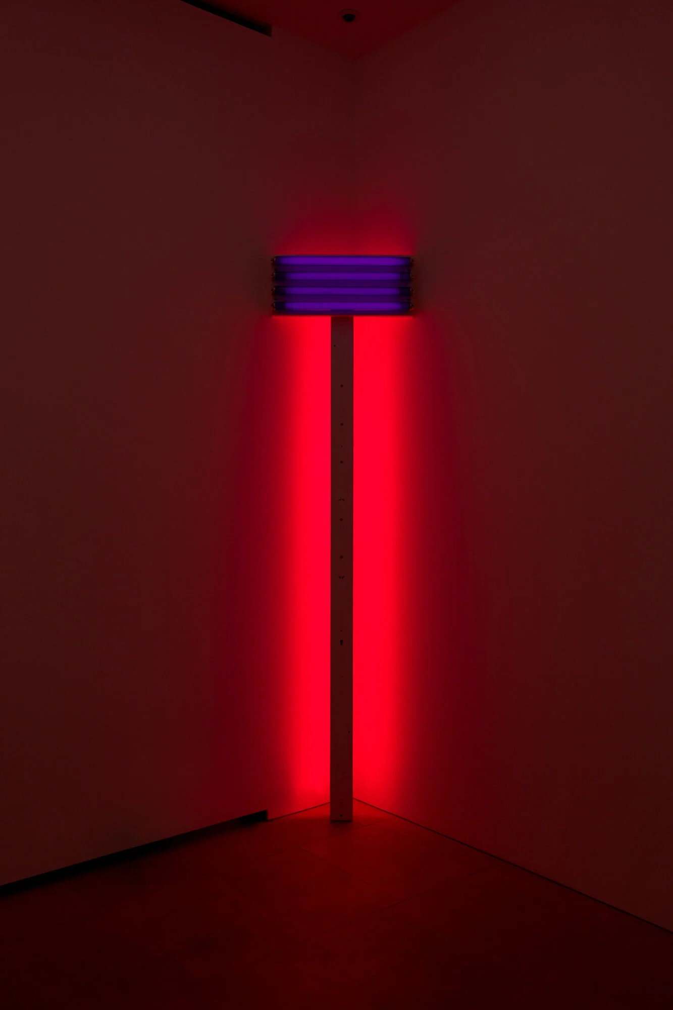 Dan Flavin — Luke Andrew Walker Photographer