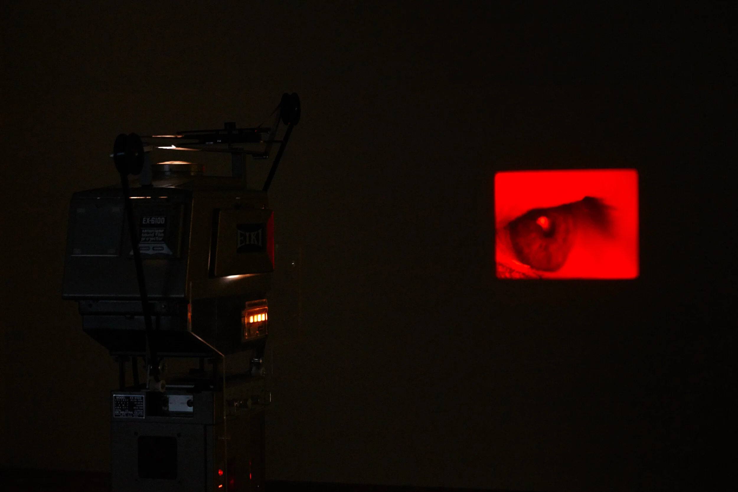 TateModern_SteveMcQueen_ 21(low res).jpg