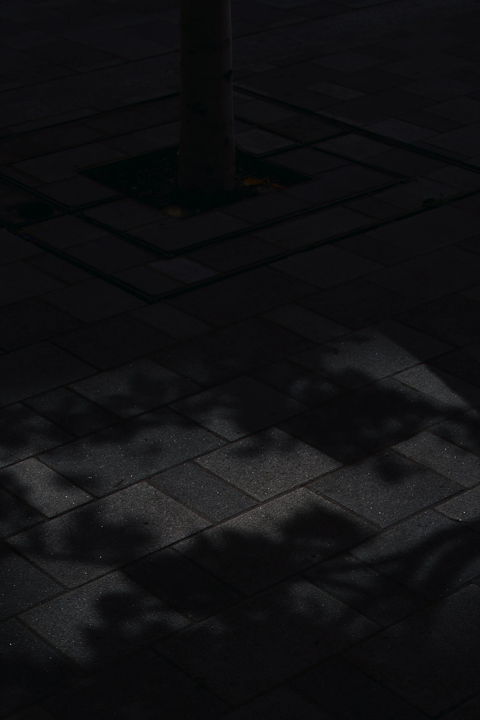 _DSF5524_NATURE+URBAN.jpg