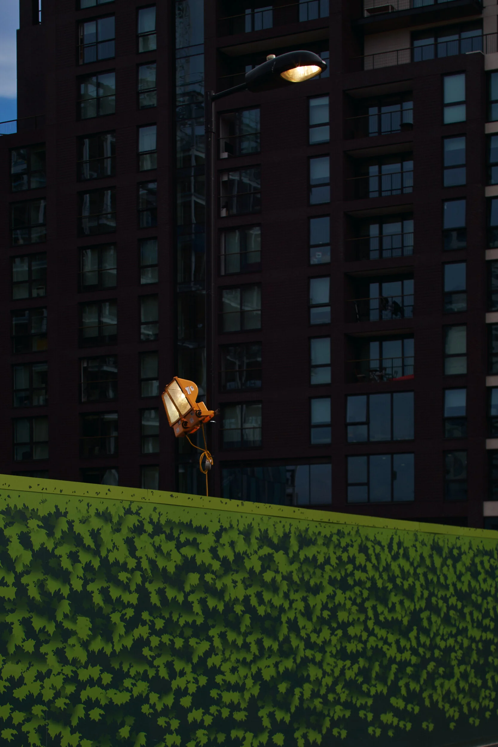 _DSF6055_NATURE+URBAN.jpg