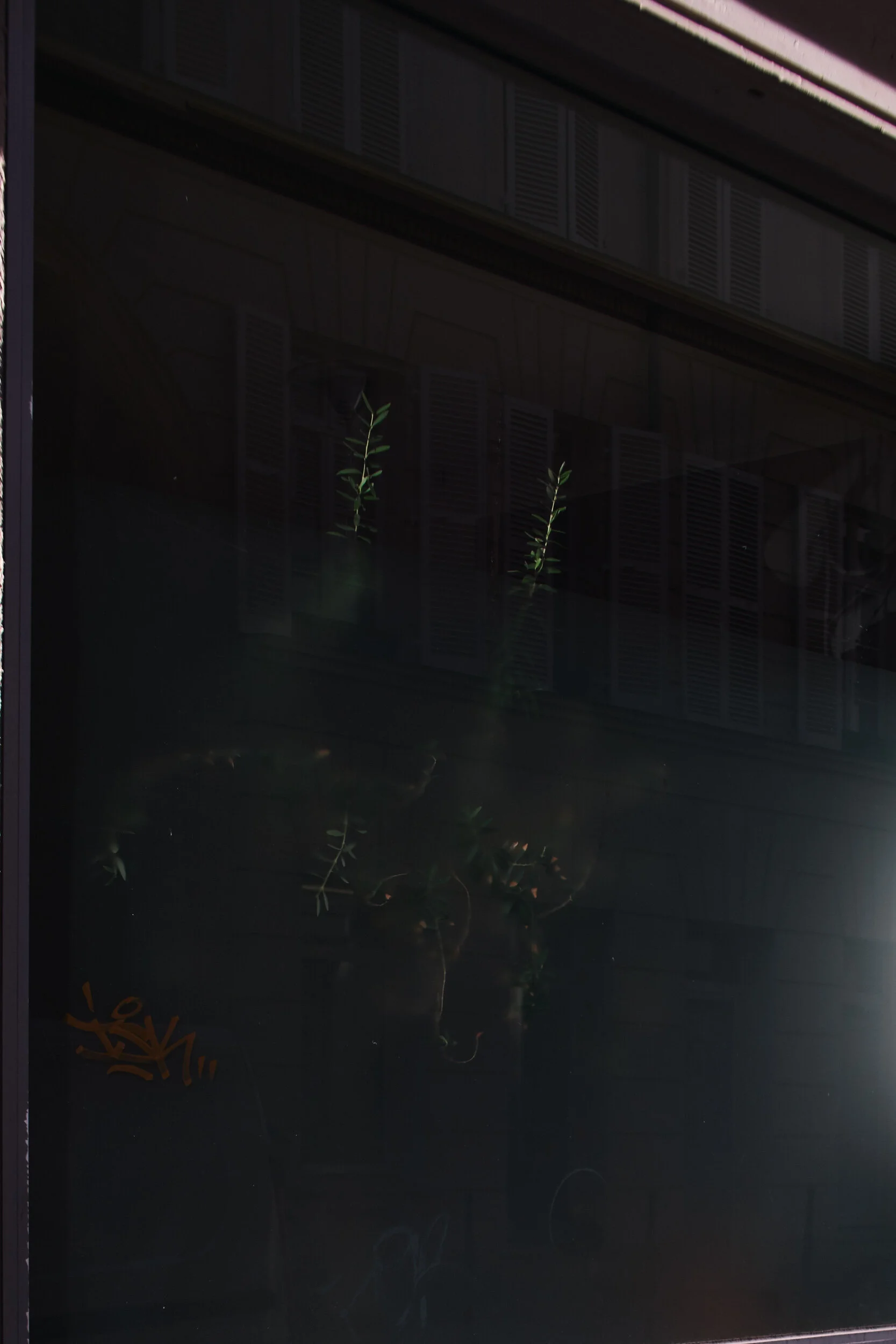 _DSF6274_NATURE+URBAN.jpg