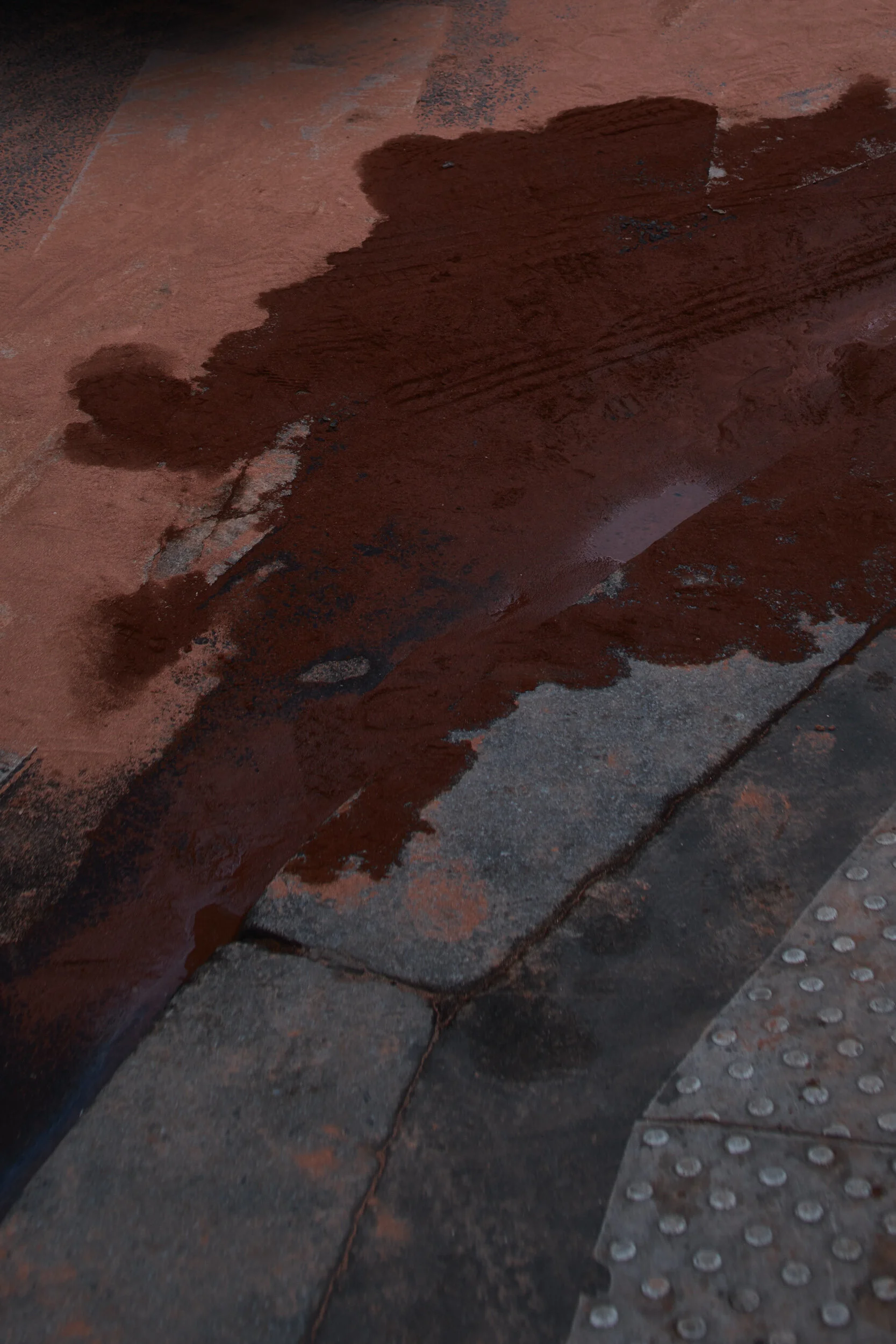 _DSF6211_NATURE+URBAN.jpg