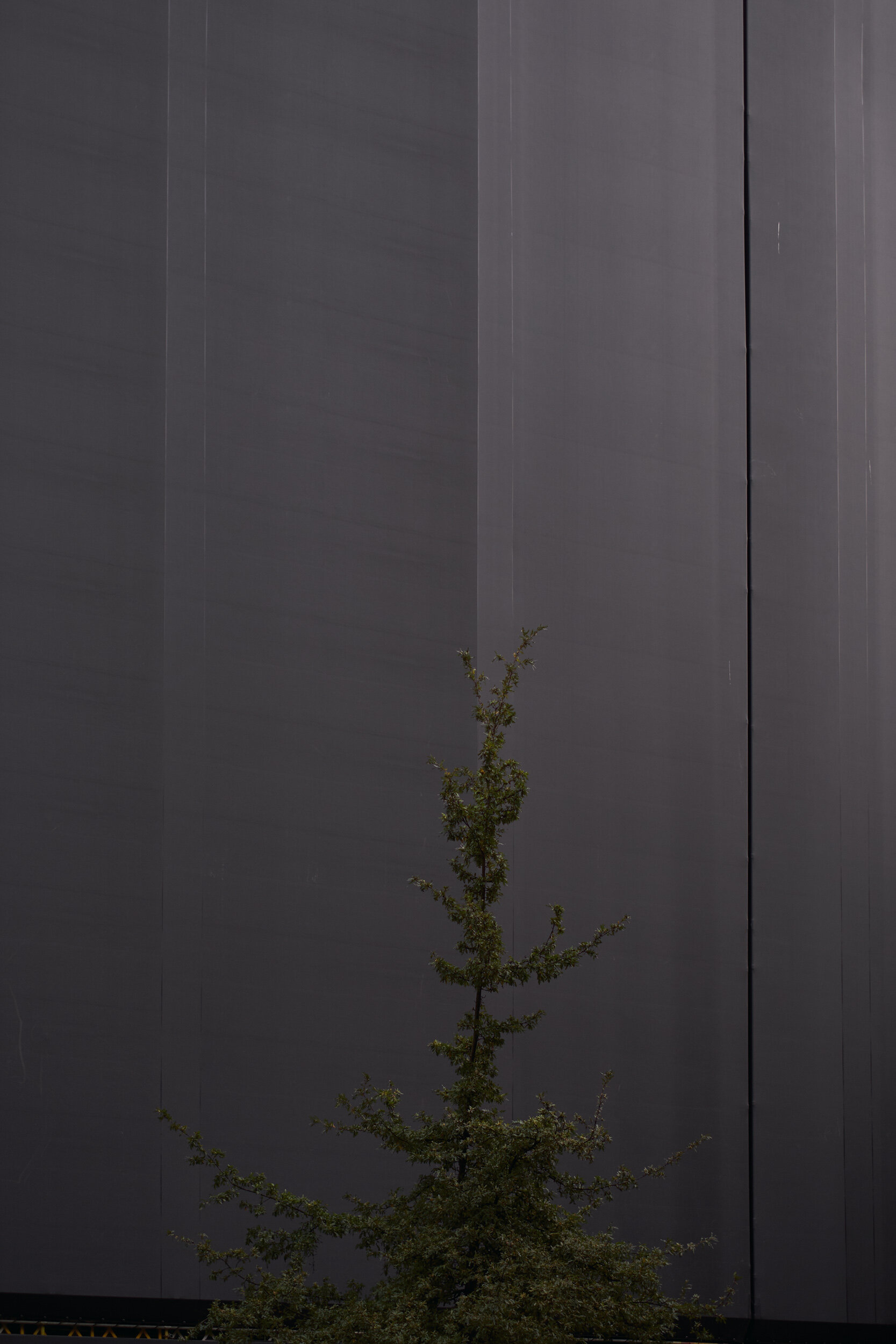 _DSF8387_NATURE+URBAN.jpg
