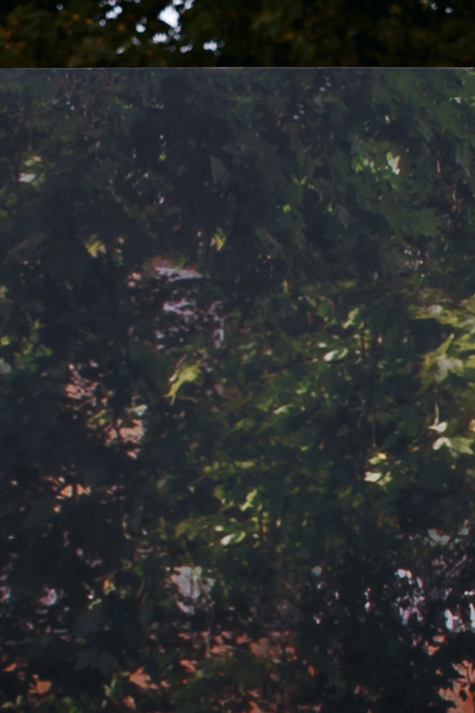 _DSF8225_NATURE+URBAN.jpg