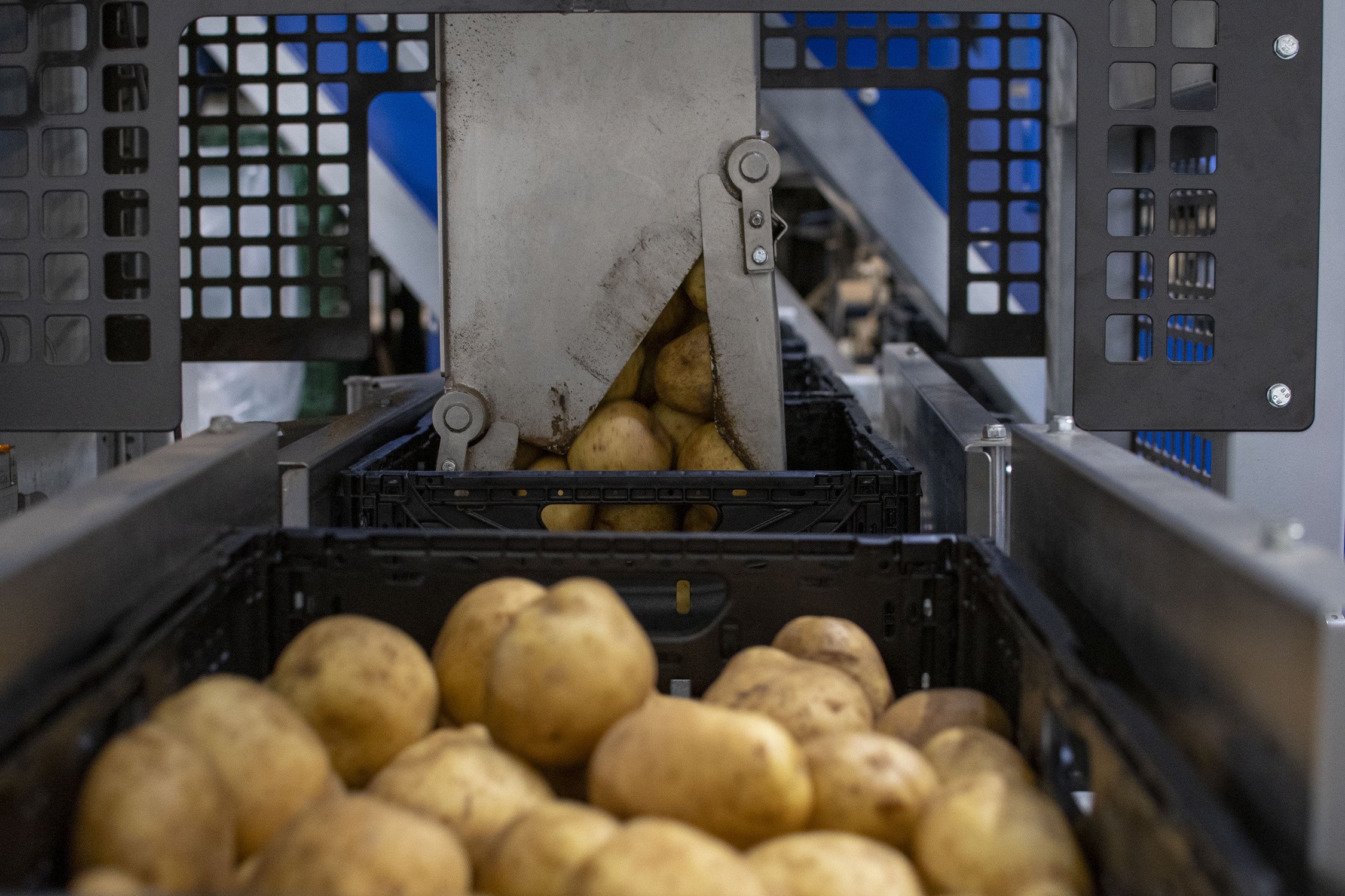 13_Eqraft_Quiks_Potatoes_Mehrkopfwaagen_Kistenfuller_Kartonfuller_Baxmatic_Beutelfuller_Nahstrasse_Kartoffeln_Verpackungslinie_NC2_6886.jpg