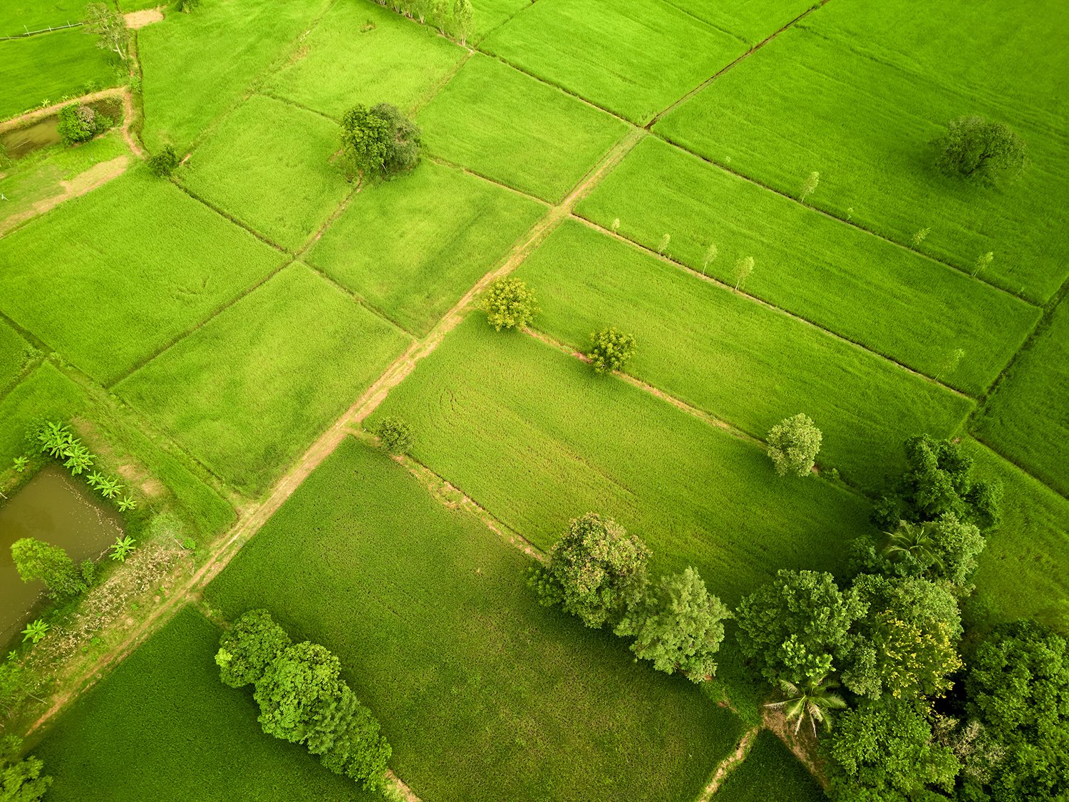ERP-ORE-DJI_0172 1.jpg