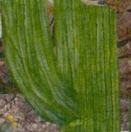 Picture2.jpg