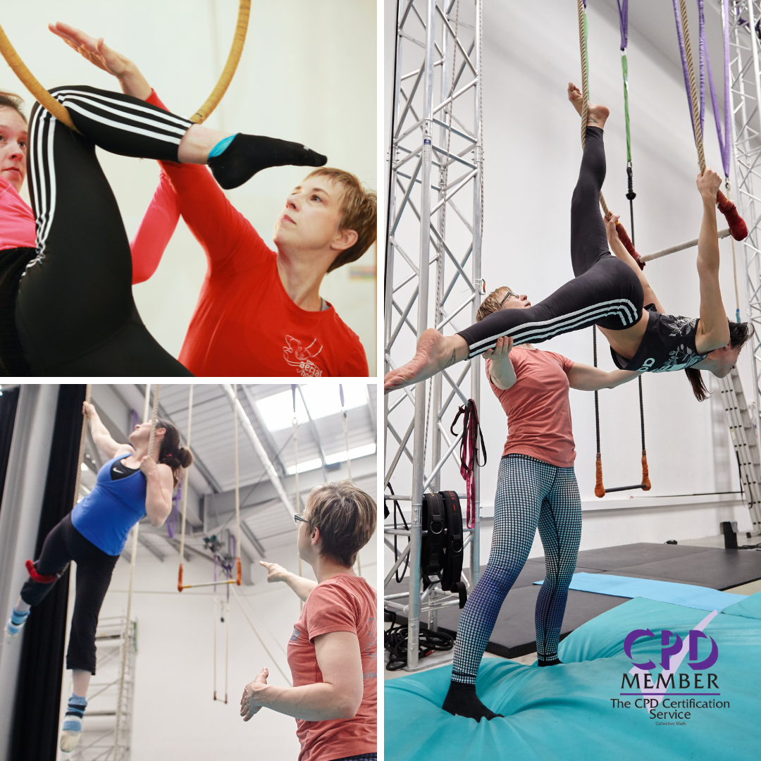 Aerial Rope Class Intensive's for Professional Development — My Aerial Home