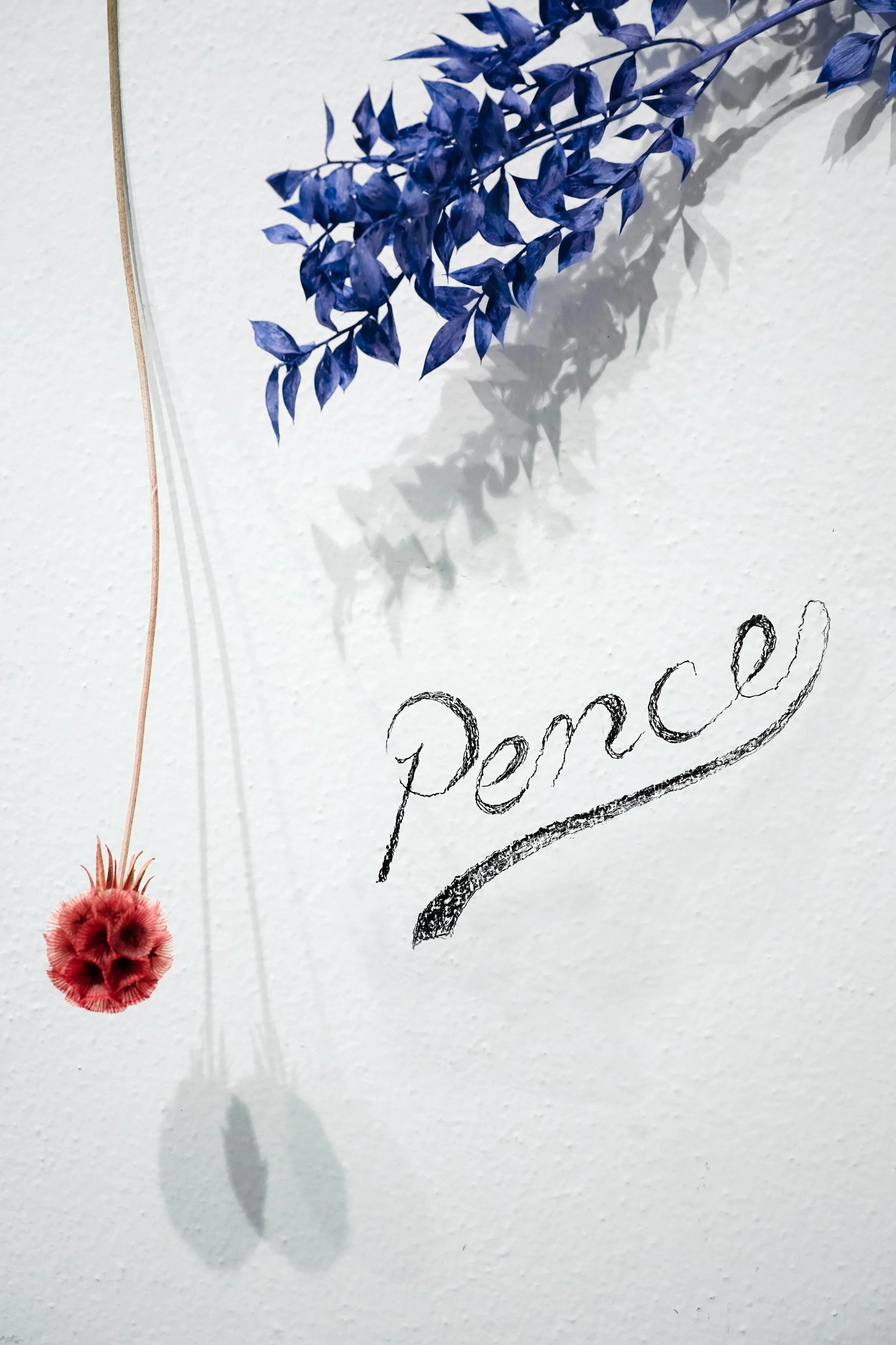 022022_PENCE_INSTALLATION_V1-30.JPG
