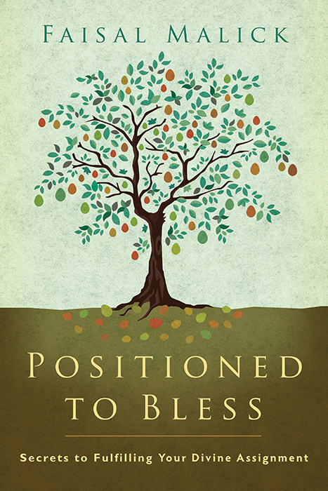 Book-PositionedtoBless.png