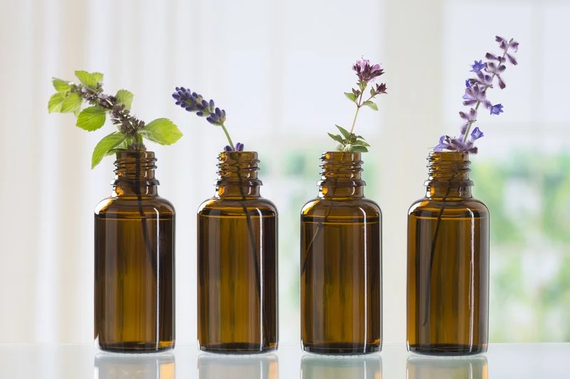 Health Trends That May Help in Your Wellness Routine