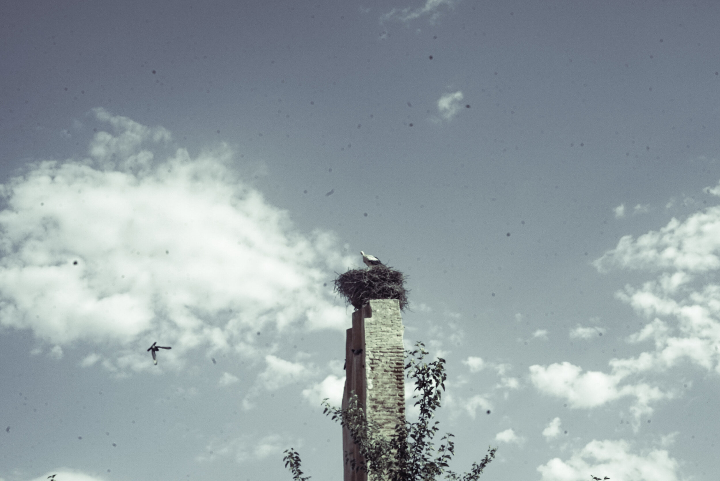 titel pic# (13 of 31).jpg