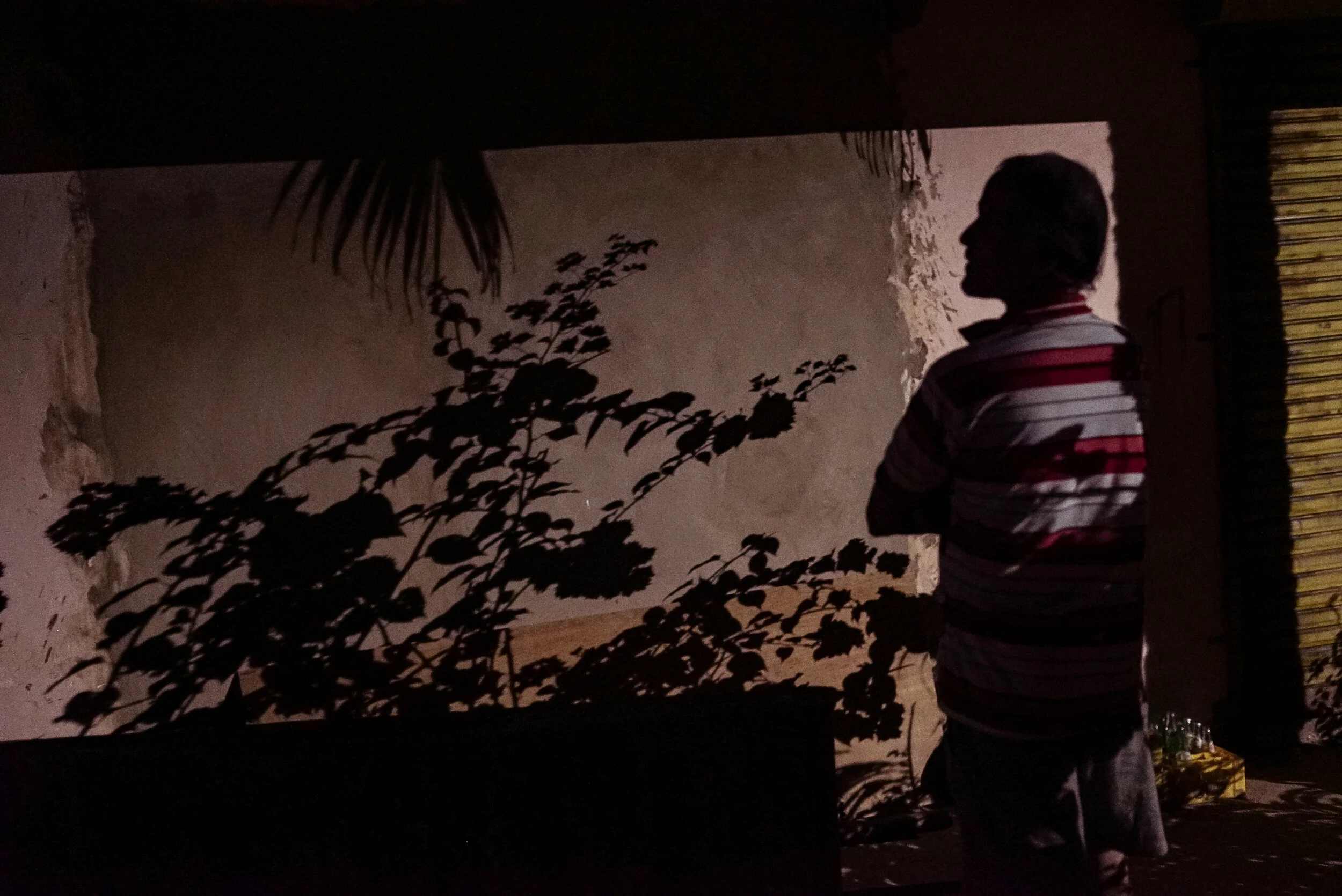 mamasita christmass museum (1 of 1)-5.jpg