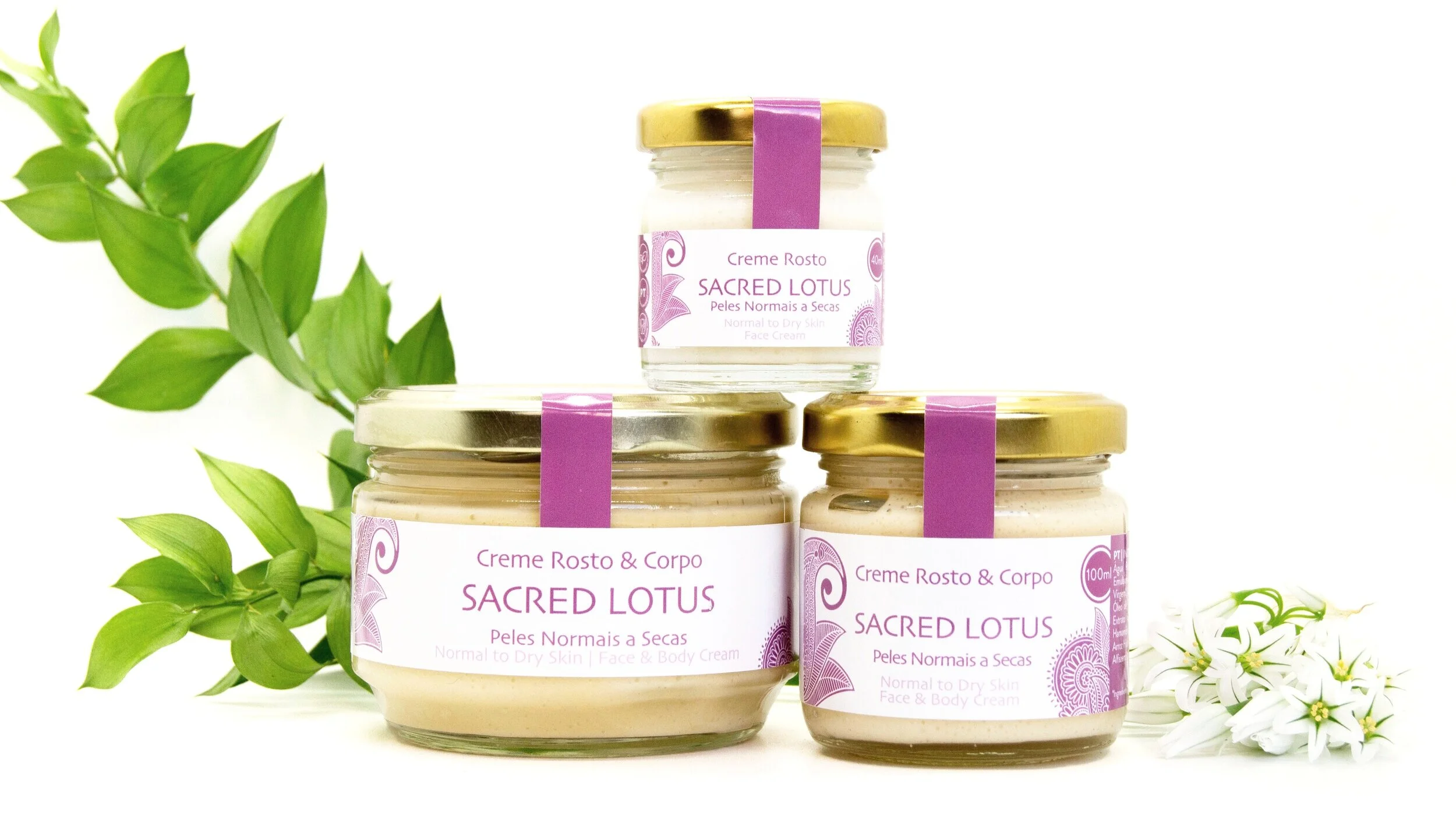Sacred Lotus