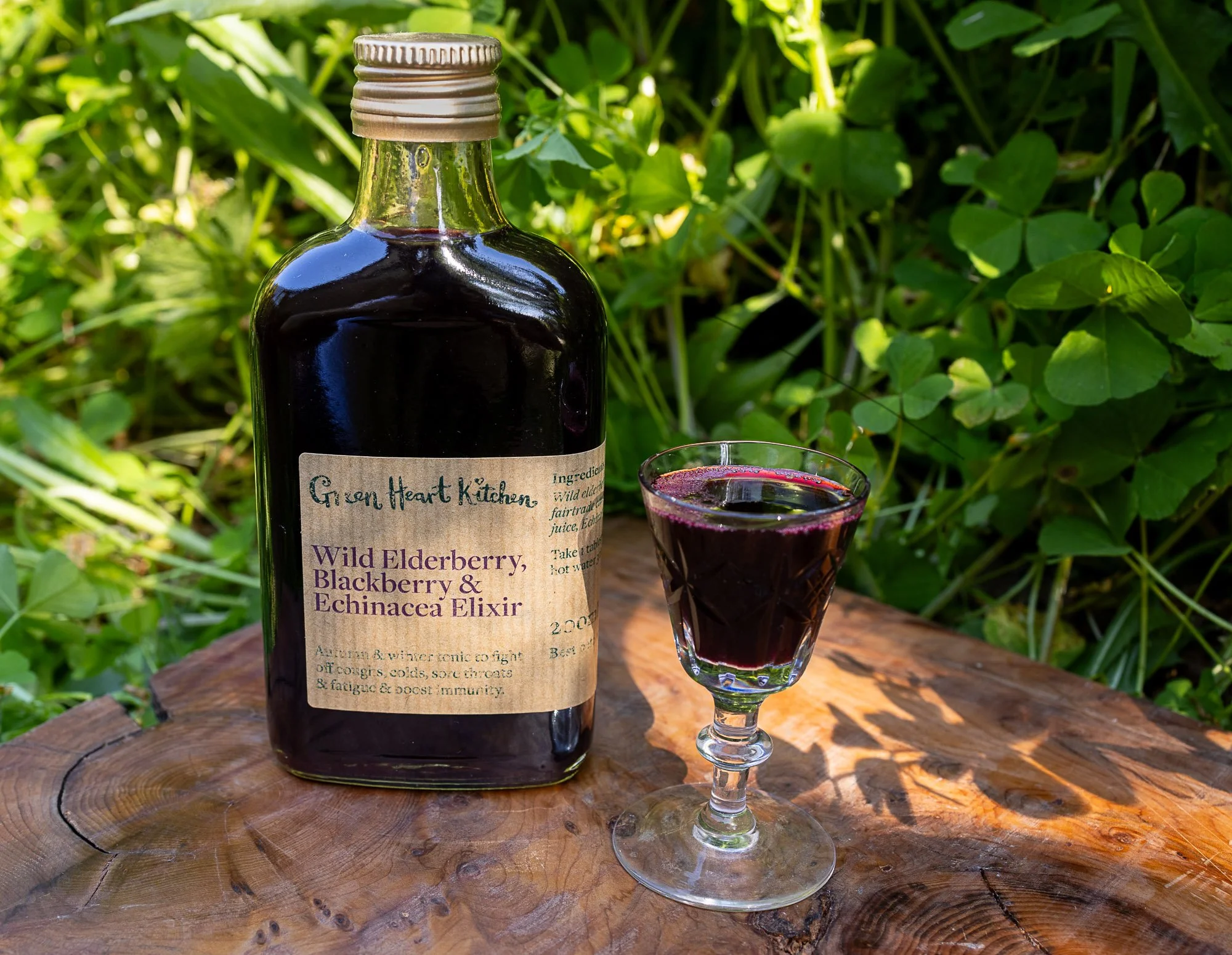 ELDERBERRY.jpg