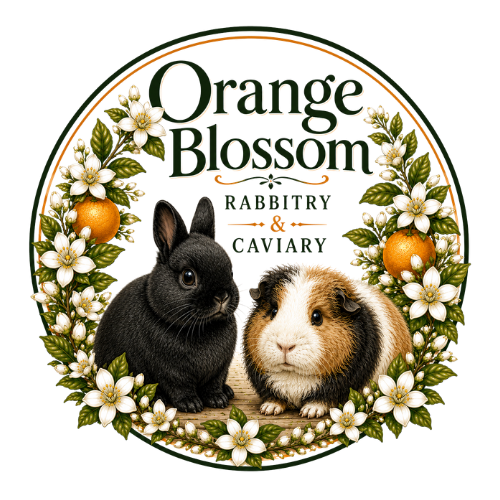 Rabbitry Directory — Florida State Rabbit and Cavy Breeders Association