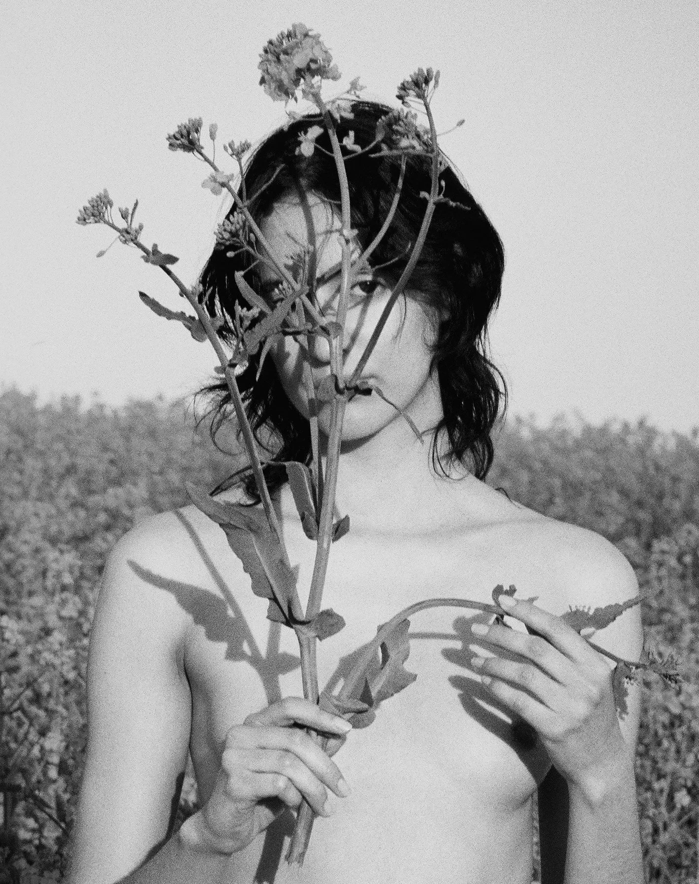 AOIFE YELLOW FIELDS8 small file SimoneSteenberg.jpg