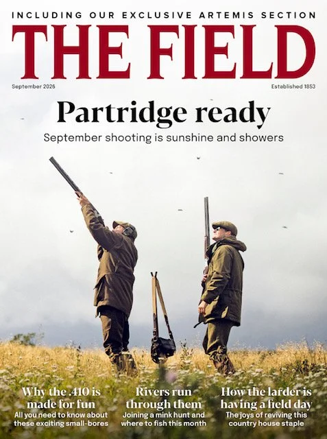 The Field - September 2026