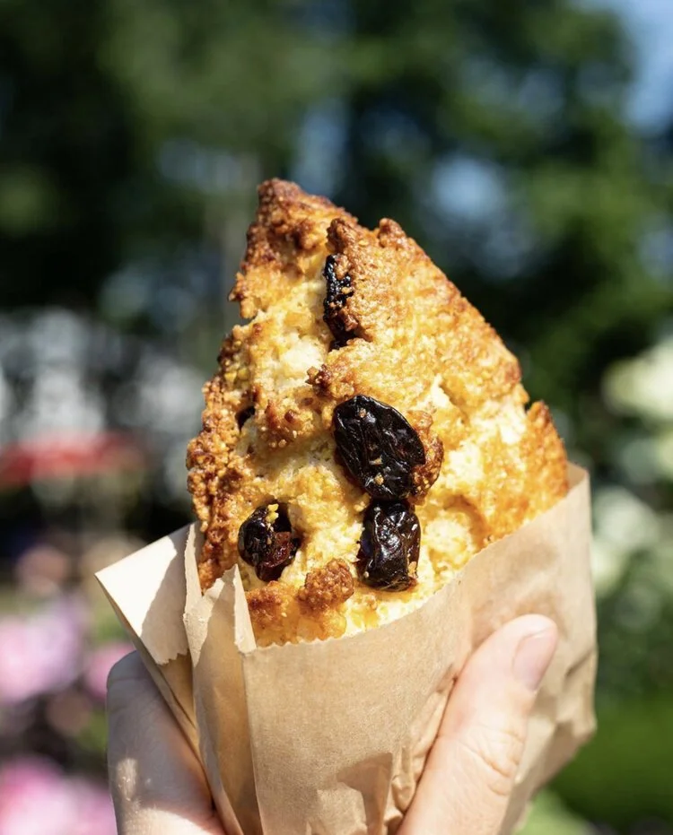 LG Cherry Cornmeal Scone