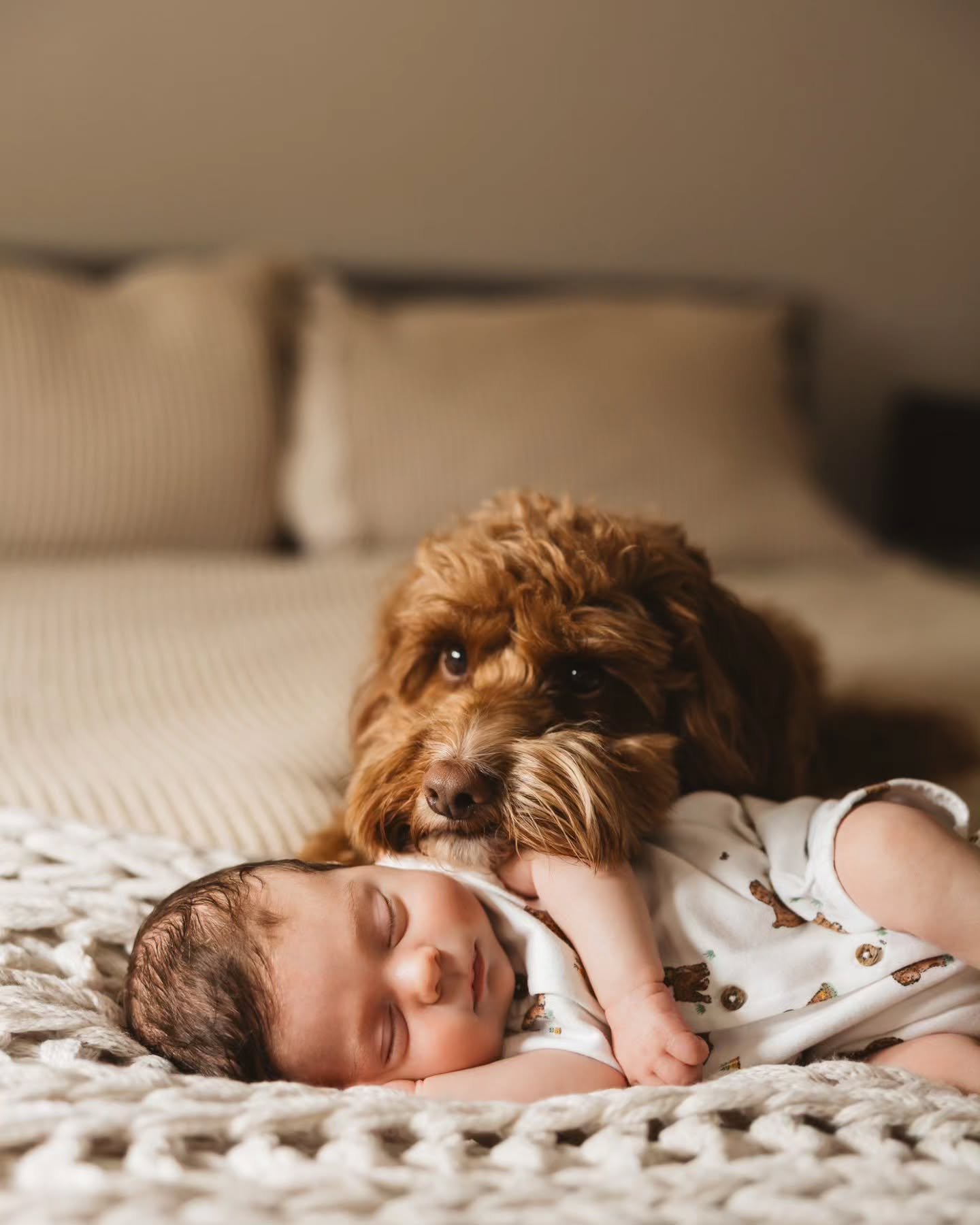 A furbaby and his new hooman 🖤 Happy Wednesday people 🫶🏻

#dogsofınstagram
#newbornphotography #parenthood #dogsandbabies #newbaby ##kentnewbornphotographer