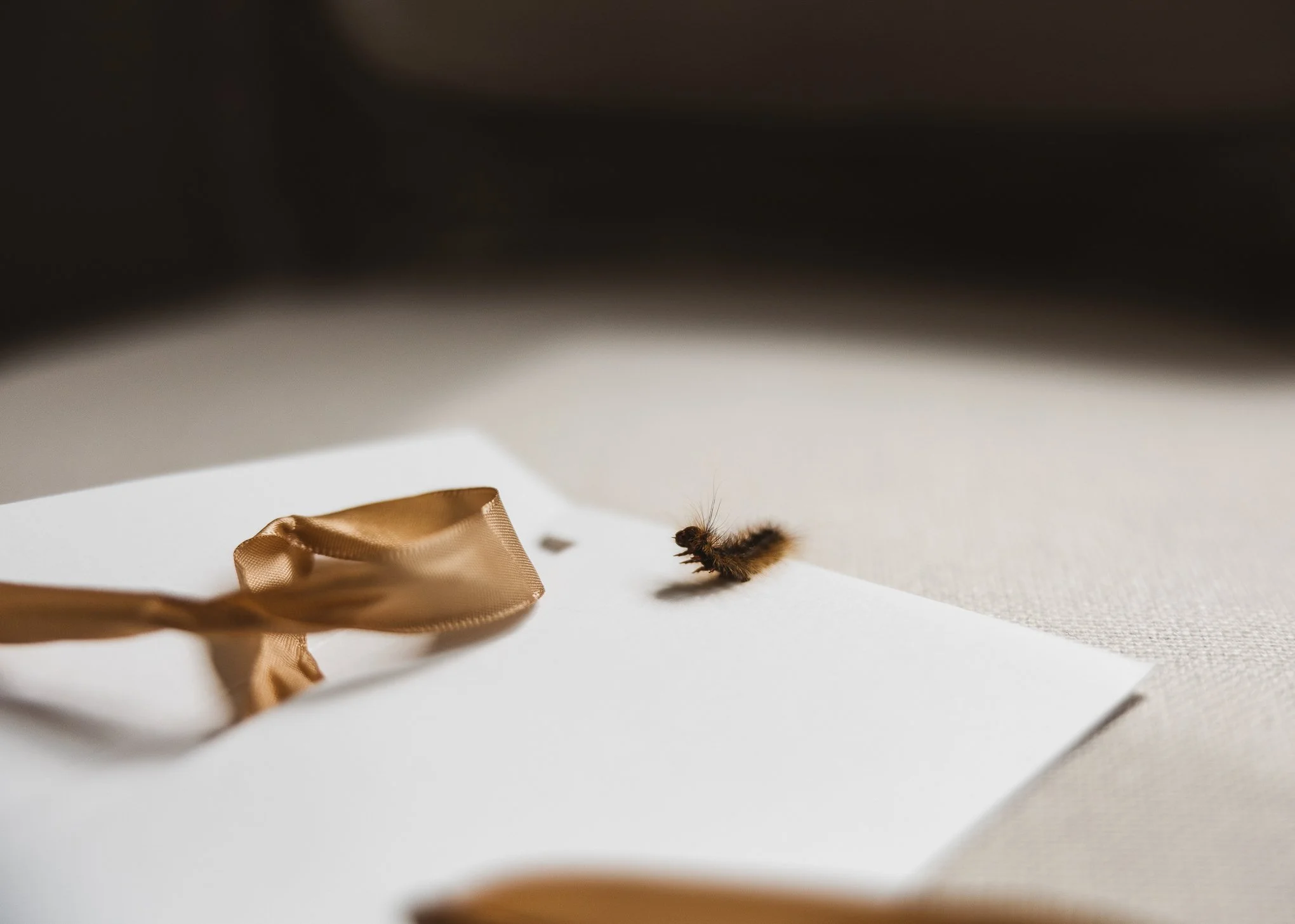 Modern energetic black tie hayne house wedding photography-13.jpg