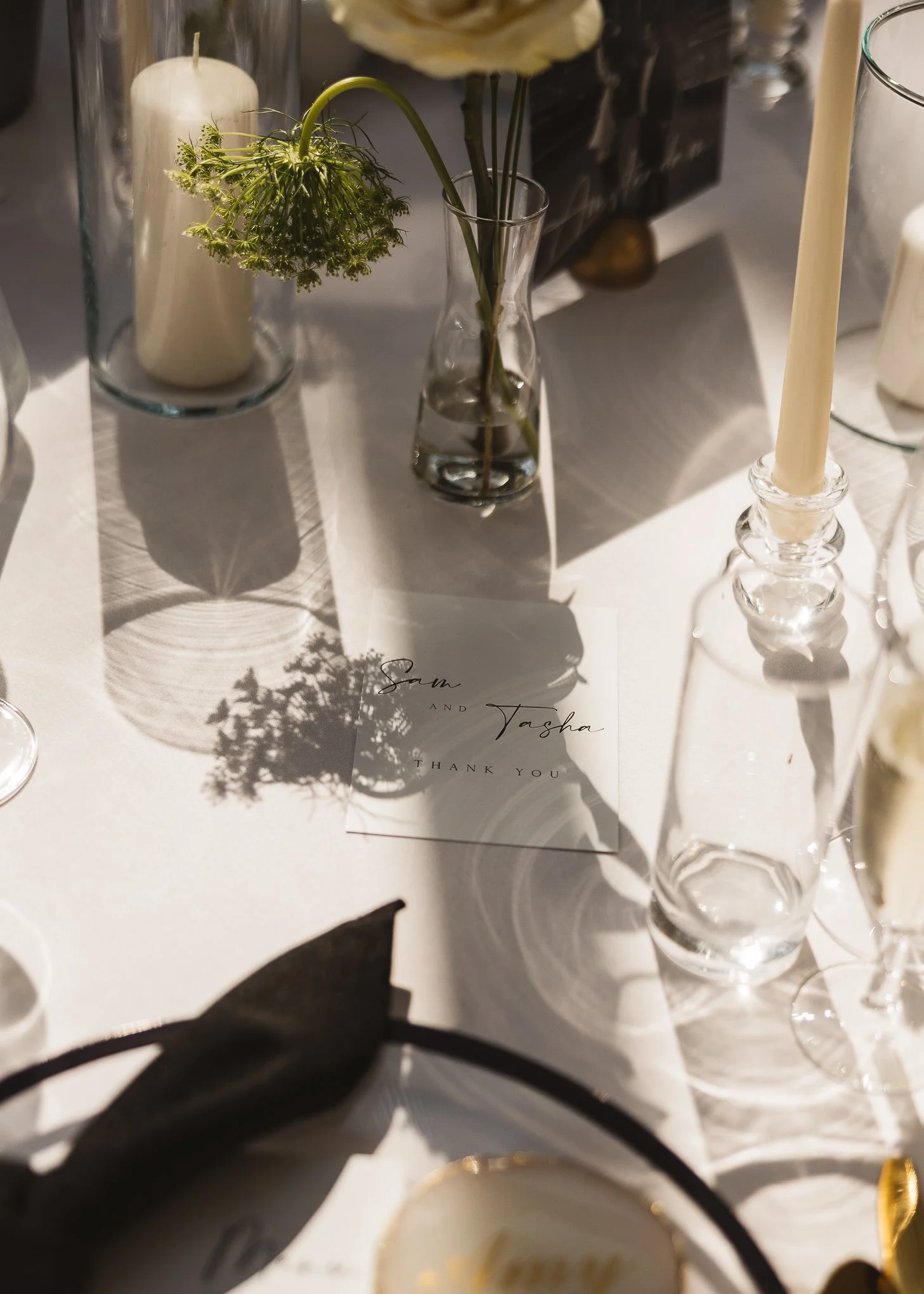 Modern energetic black tie hayne house wedding photography-212.jpg