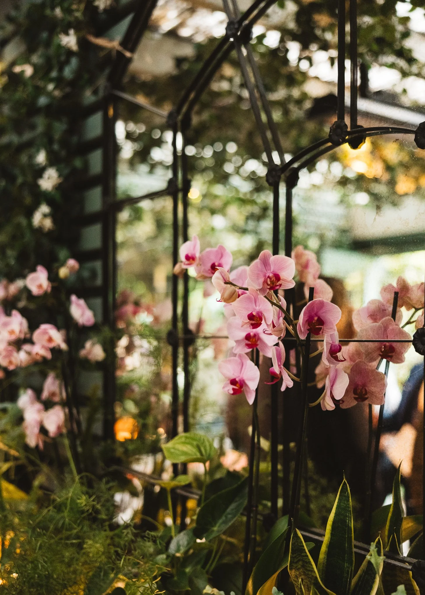 Elegant modern intimate Chelsea Town Hall Ivy Garden Wedding Photography-111.jpg