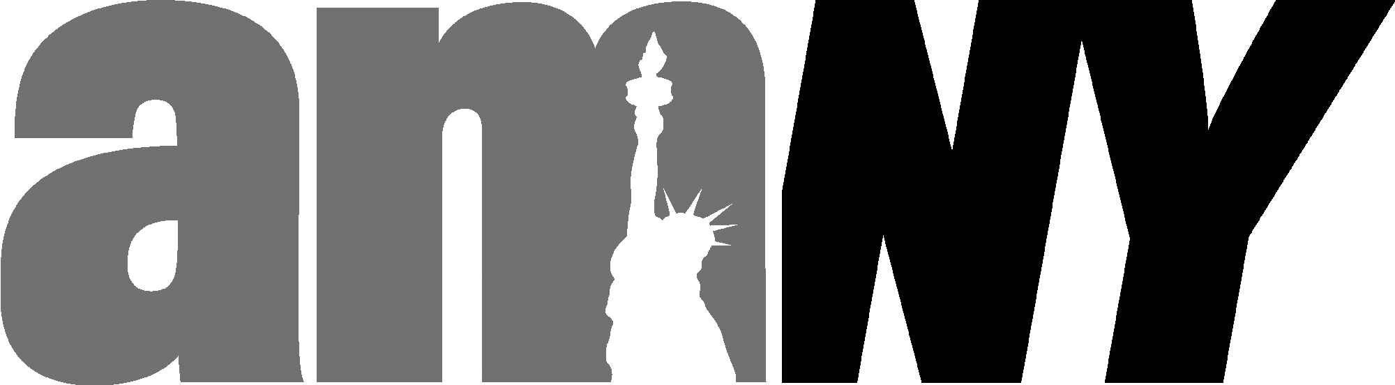 amNY-logo.png