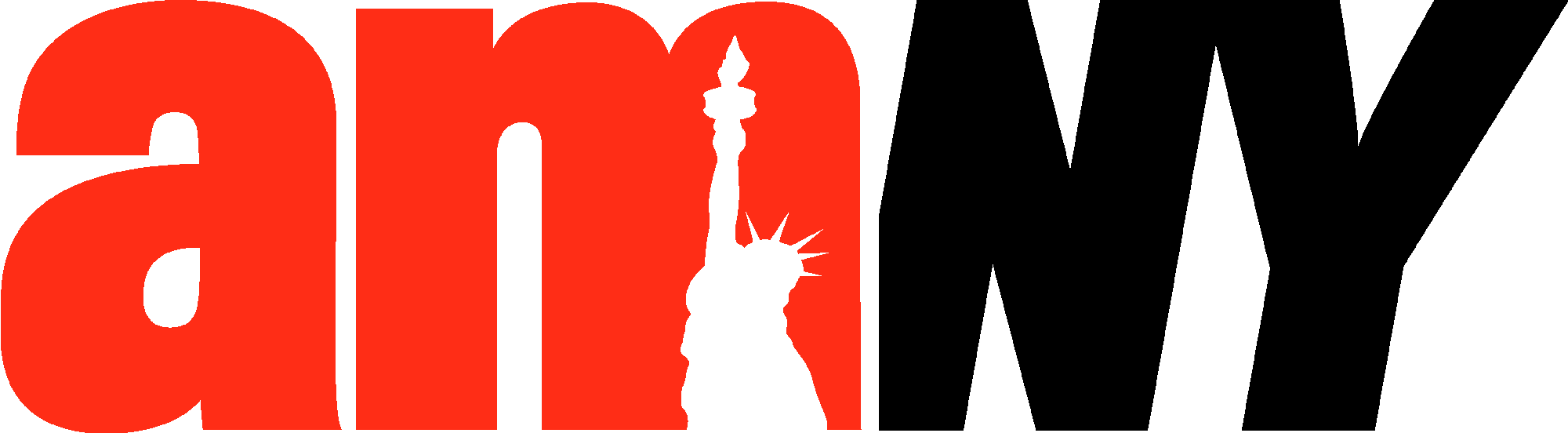 amNY-logo.png