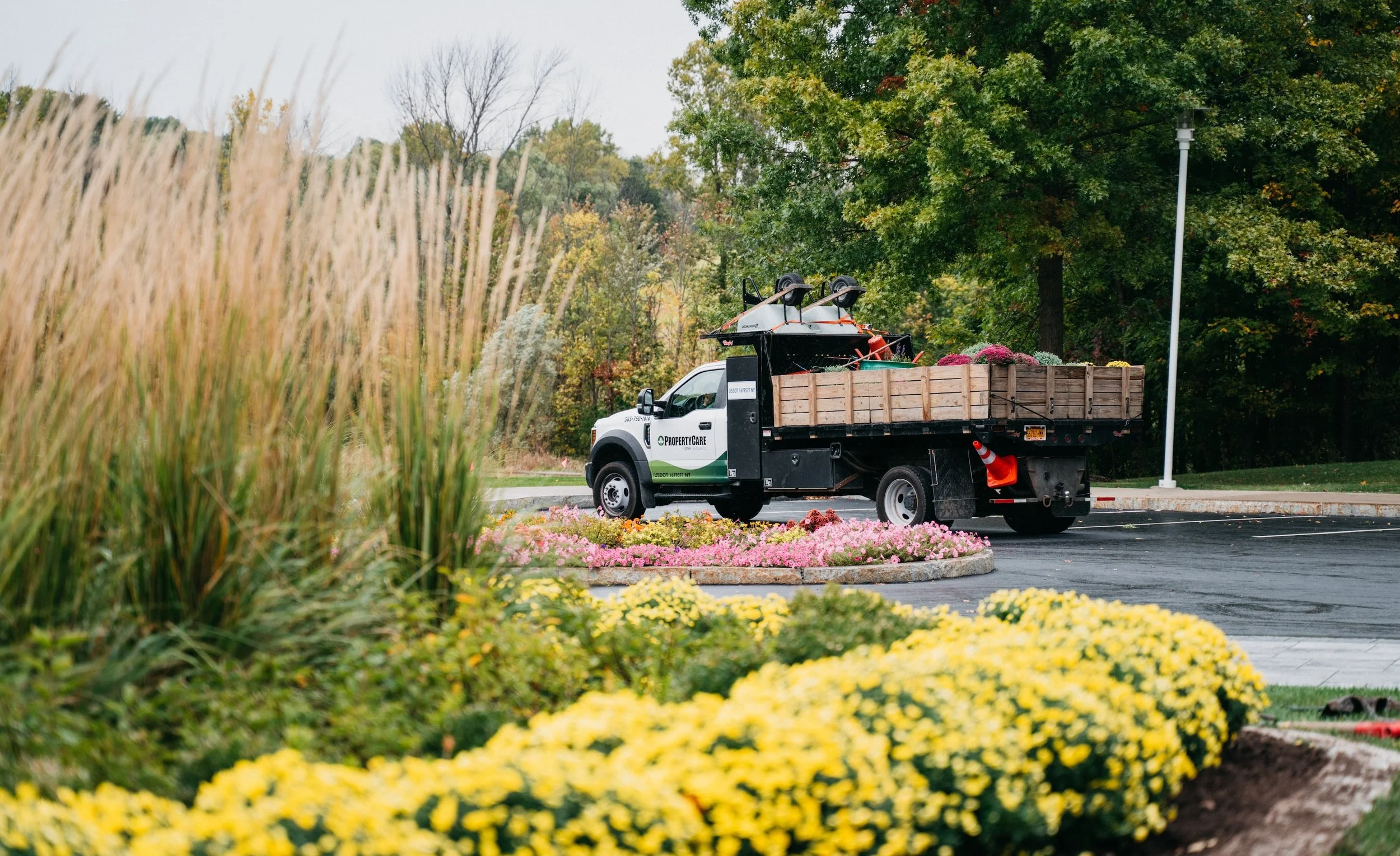 commercial landscape maintenance
