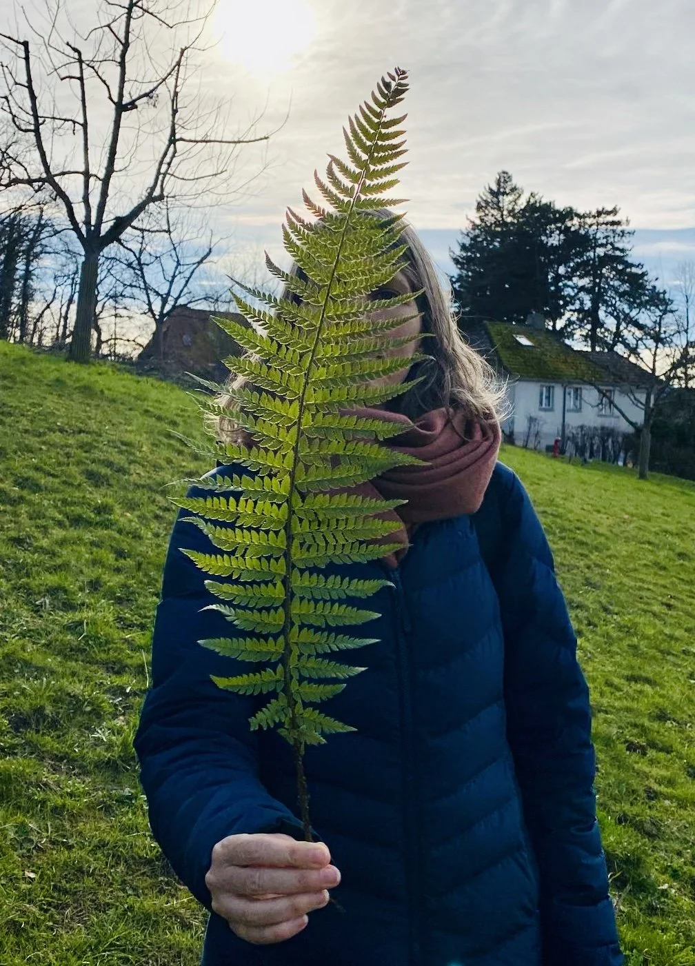 holding a fern