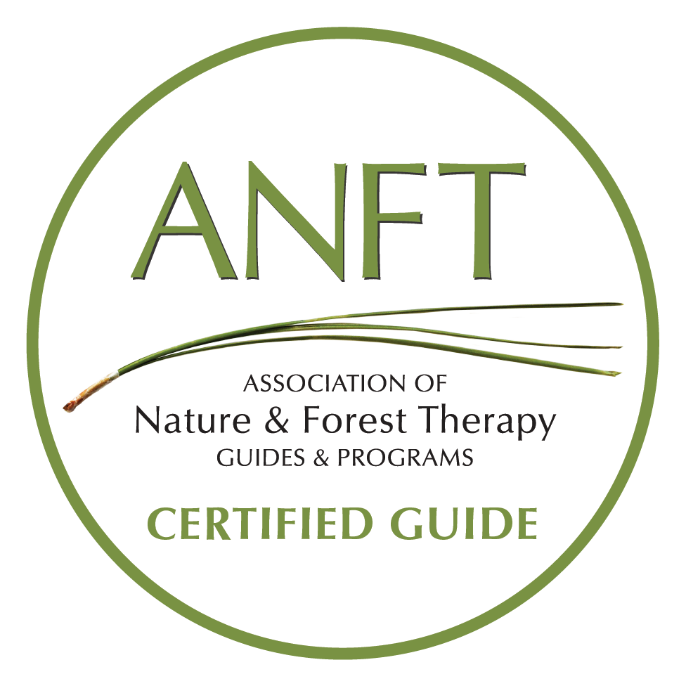 ANFT Certified Guide Logo